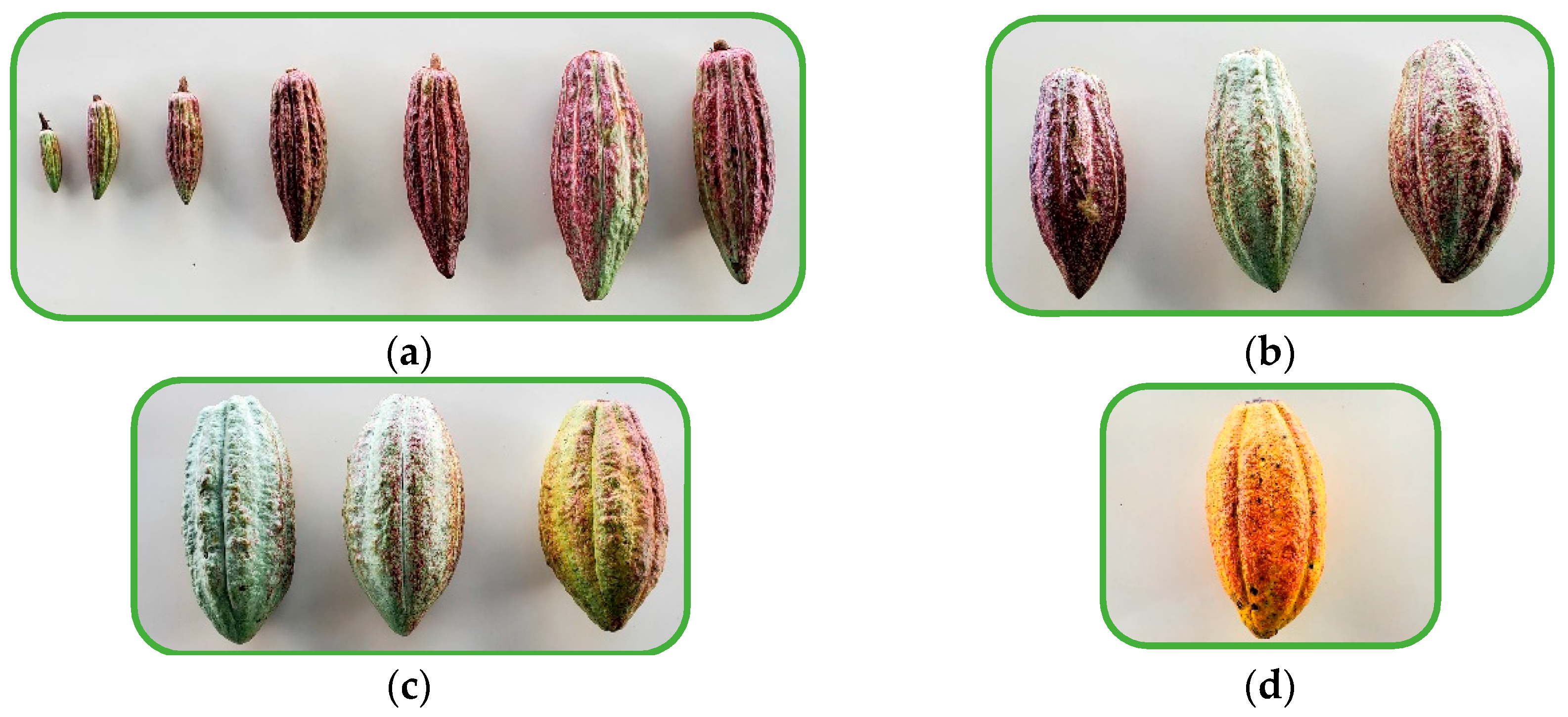 Computation 13 00159 g002