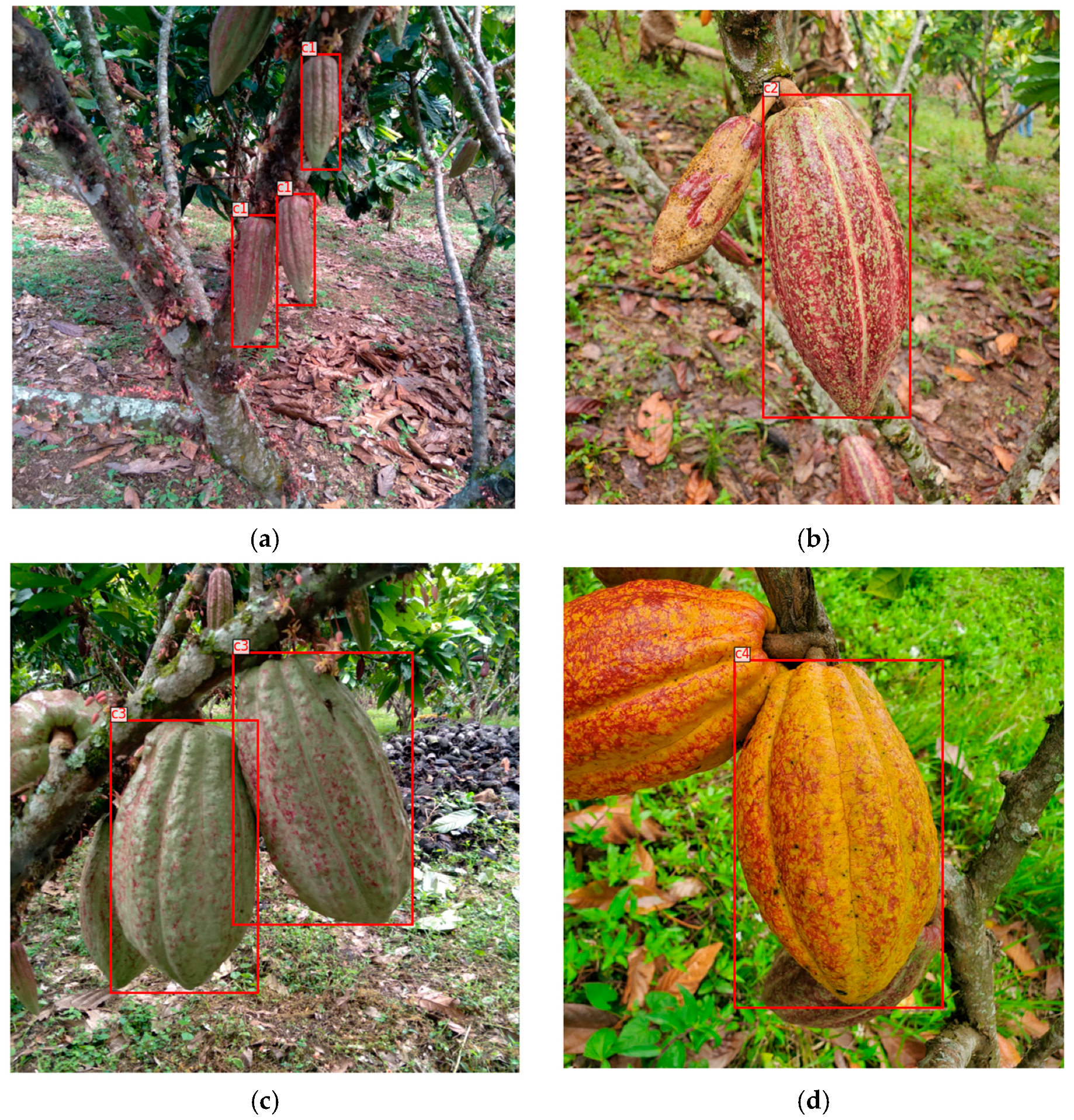 Computation 13 00159 g003