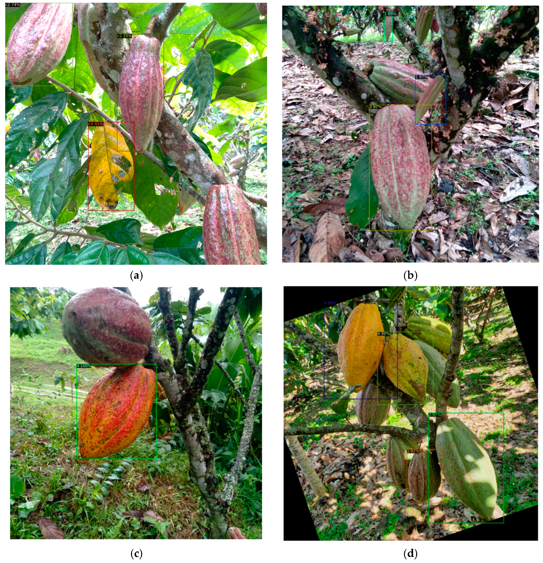 Computation 13 00159 g016