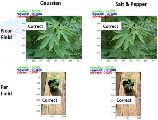 Computation 13 00174 g011