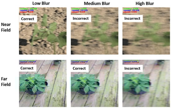 Computation 13 00174 g012