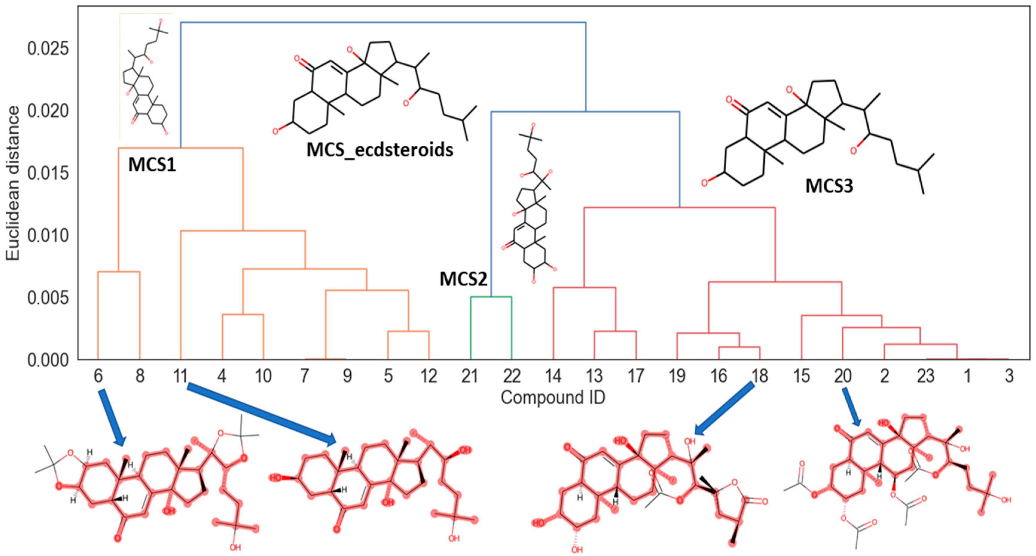 Computation 13 00195 g003