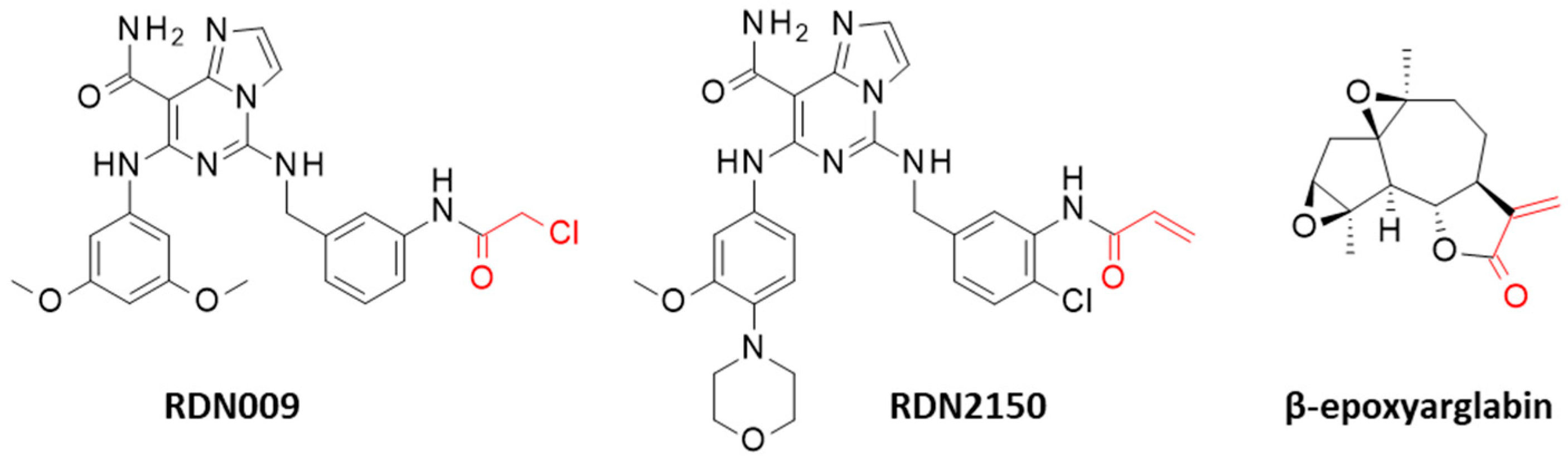 Computation 13 00207 g001