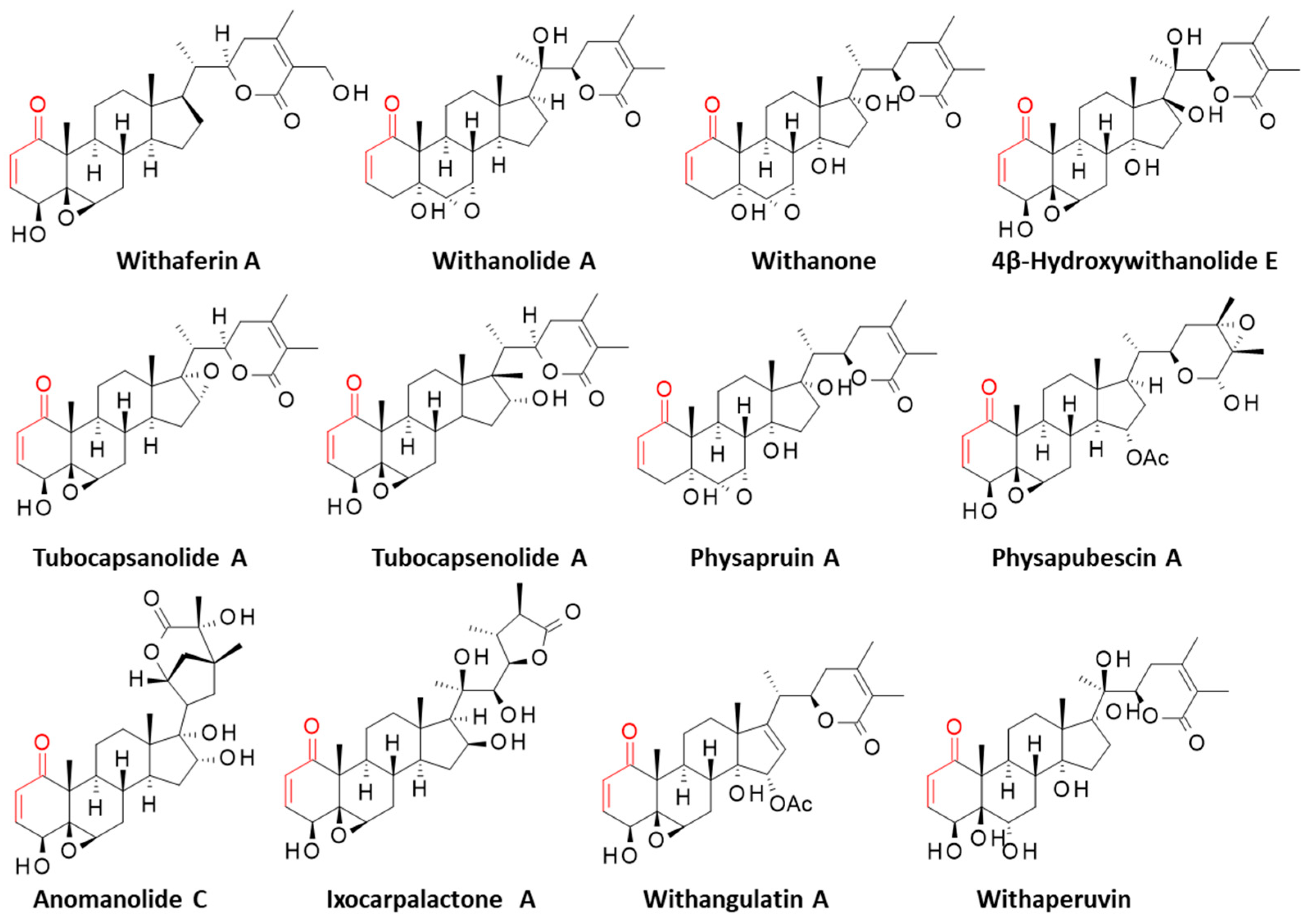 Computation 13 00207 g002