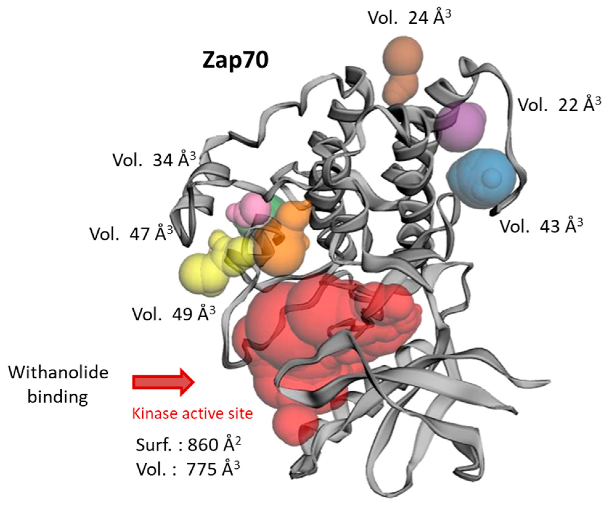 Computation 13 00207 g004