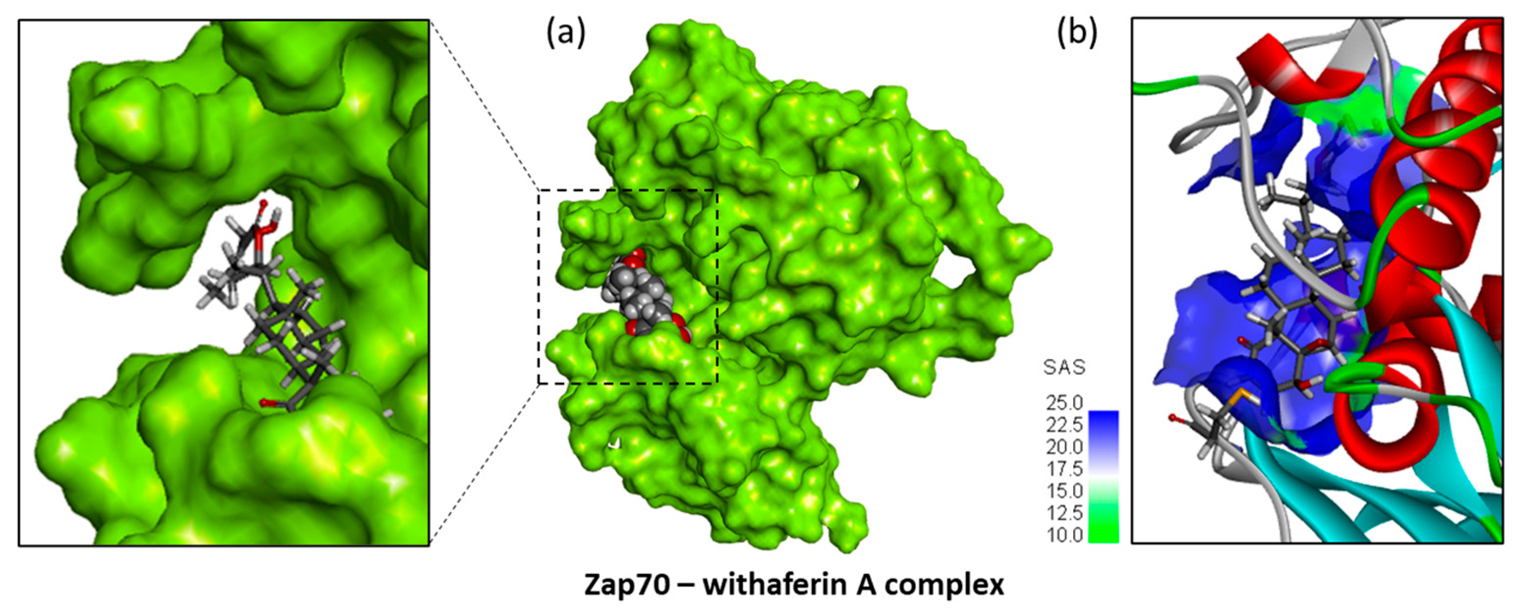 Computation 13 00207 g005