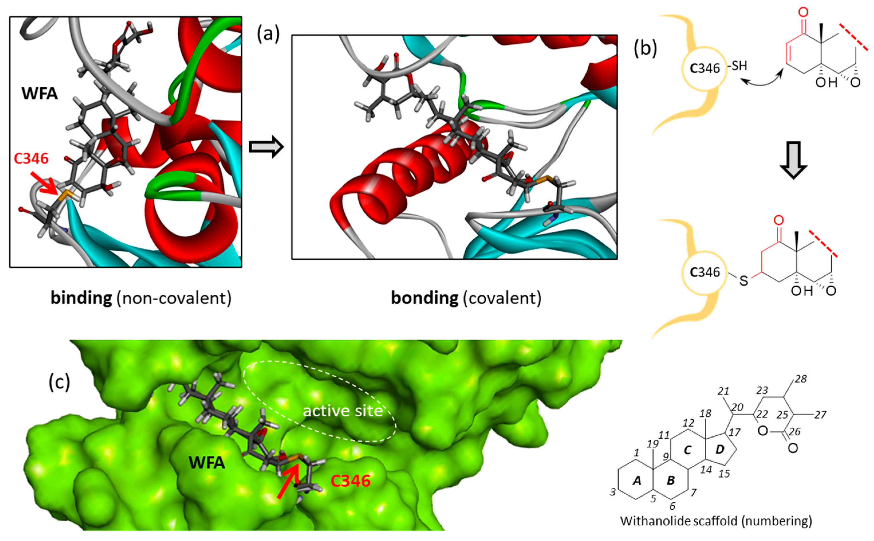 Computation 13 00207 g007
