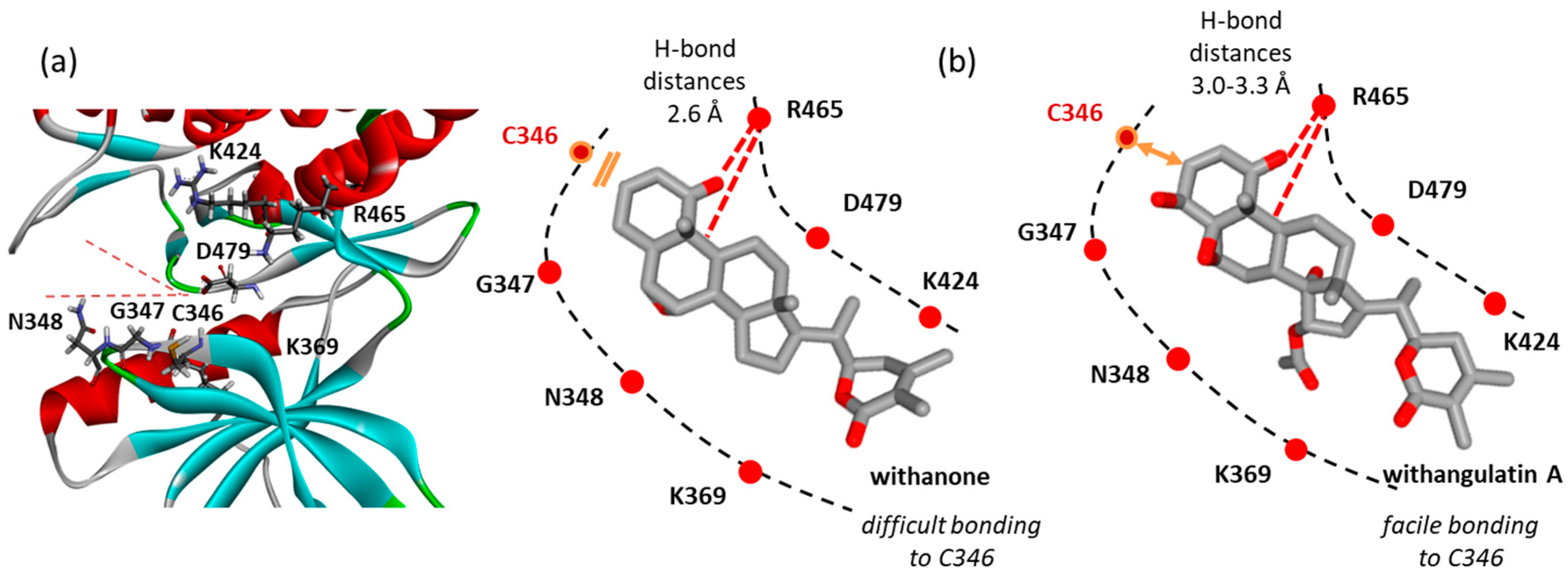 Computation 13 00207 g008