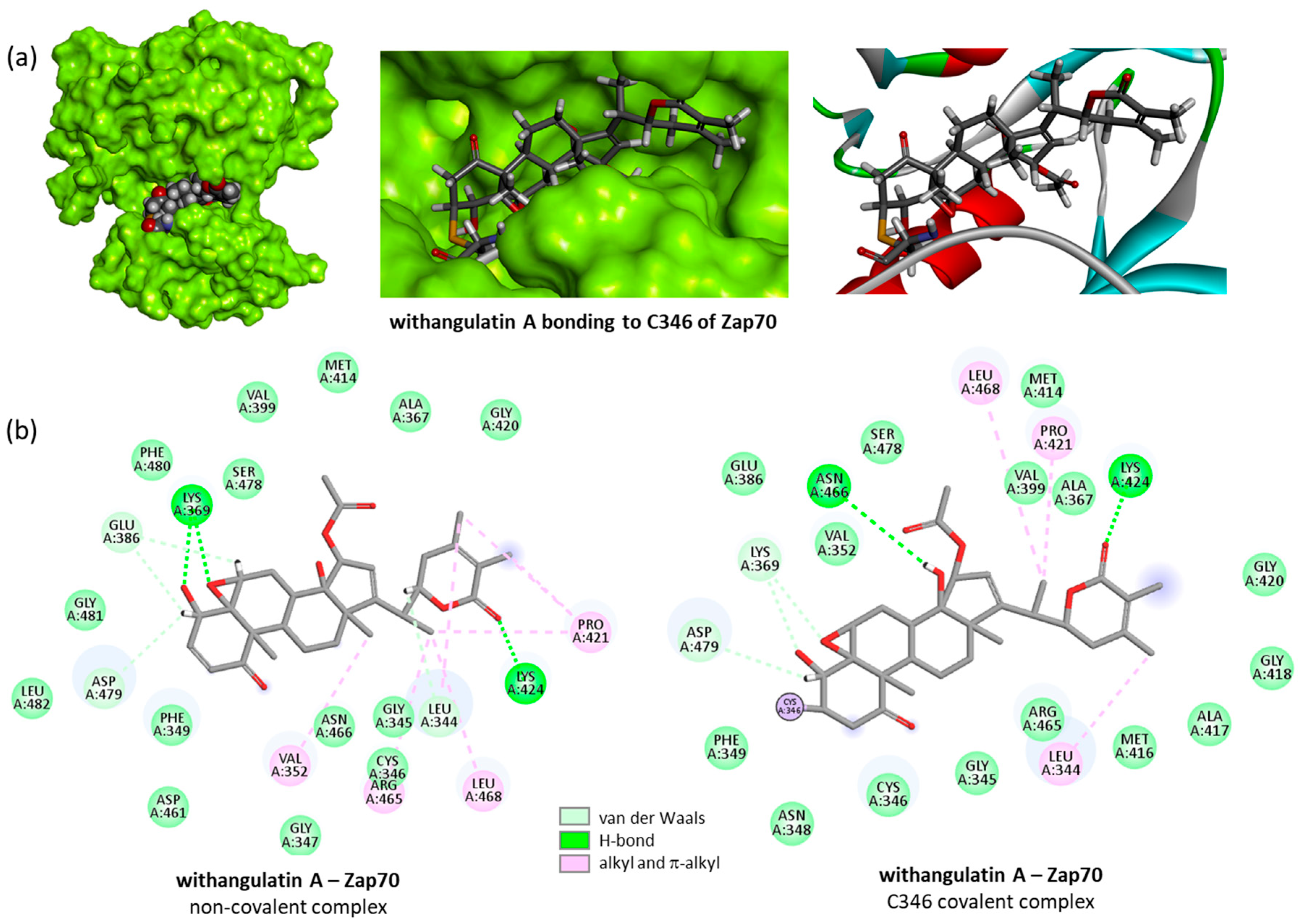 Computation 13 00207 g009