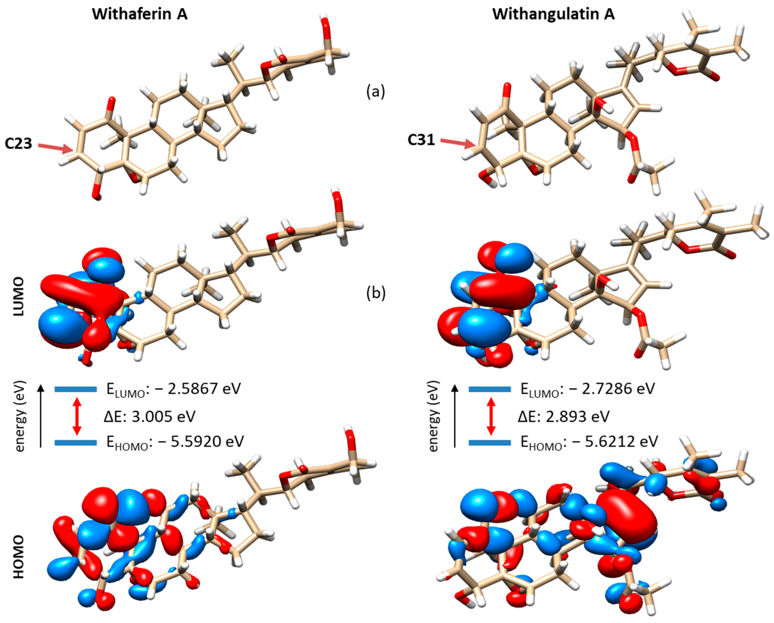 Computation 13 00207 g010