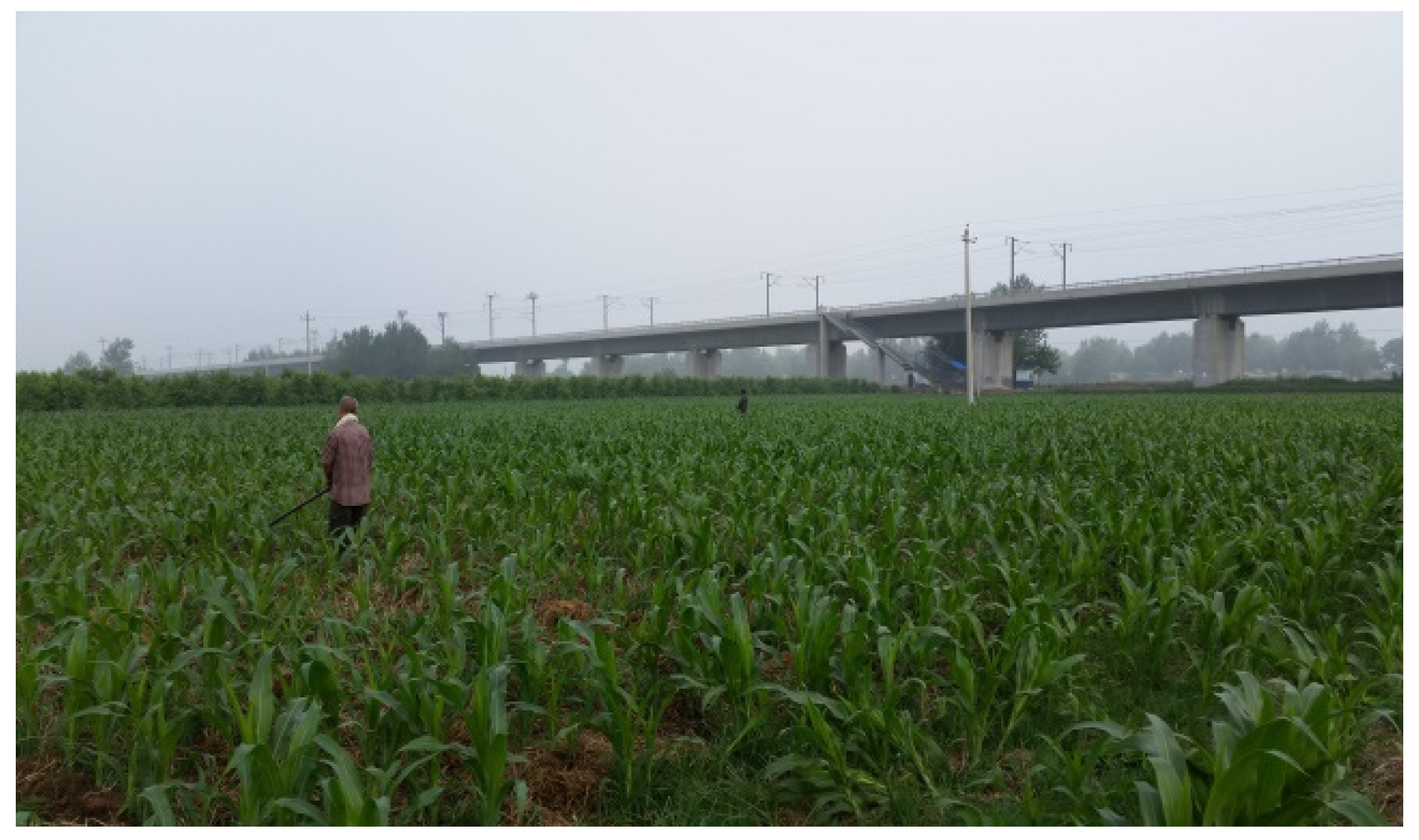 Computation 13 00215 g001