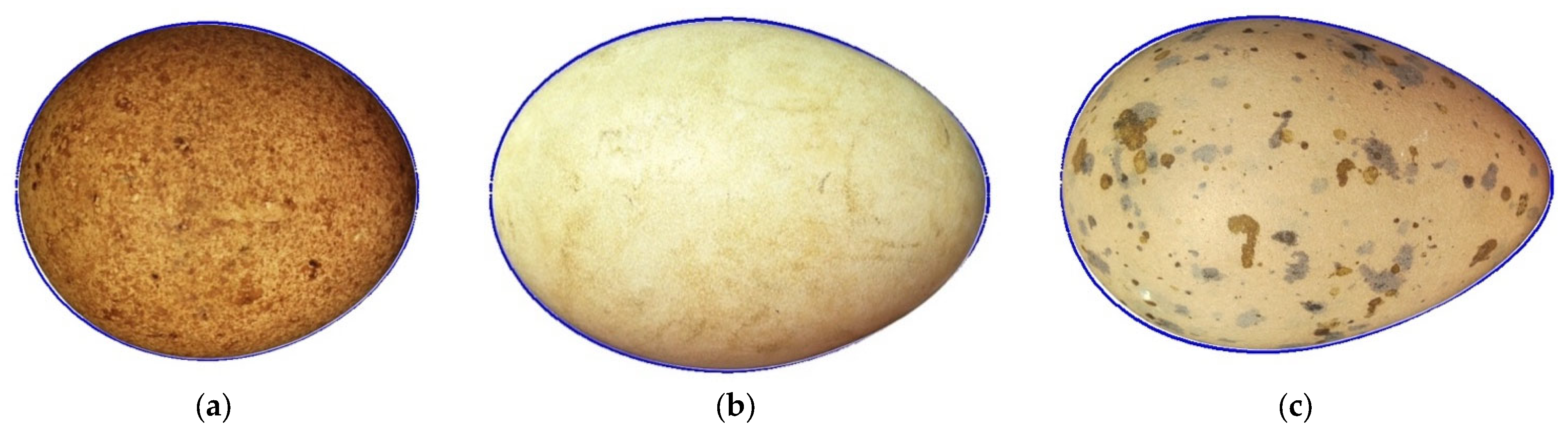 Computation 13 00232 g002