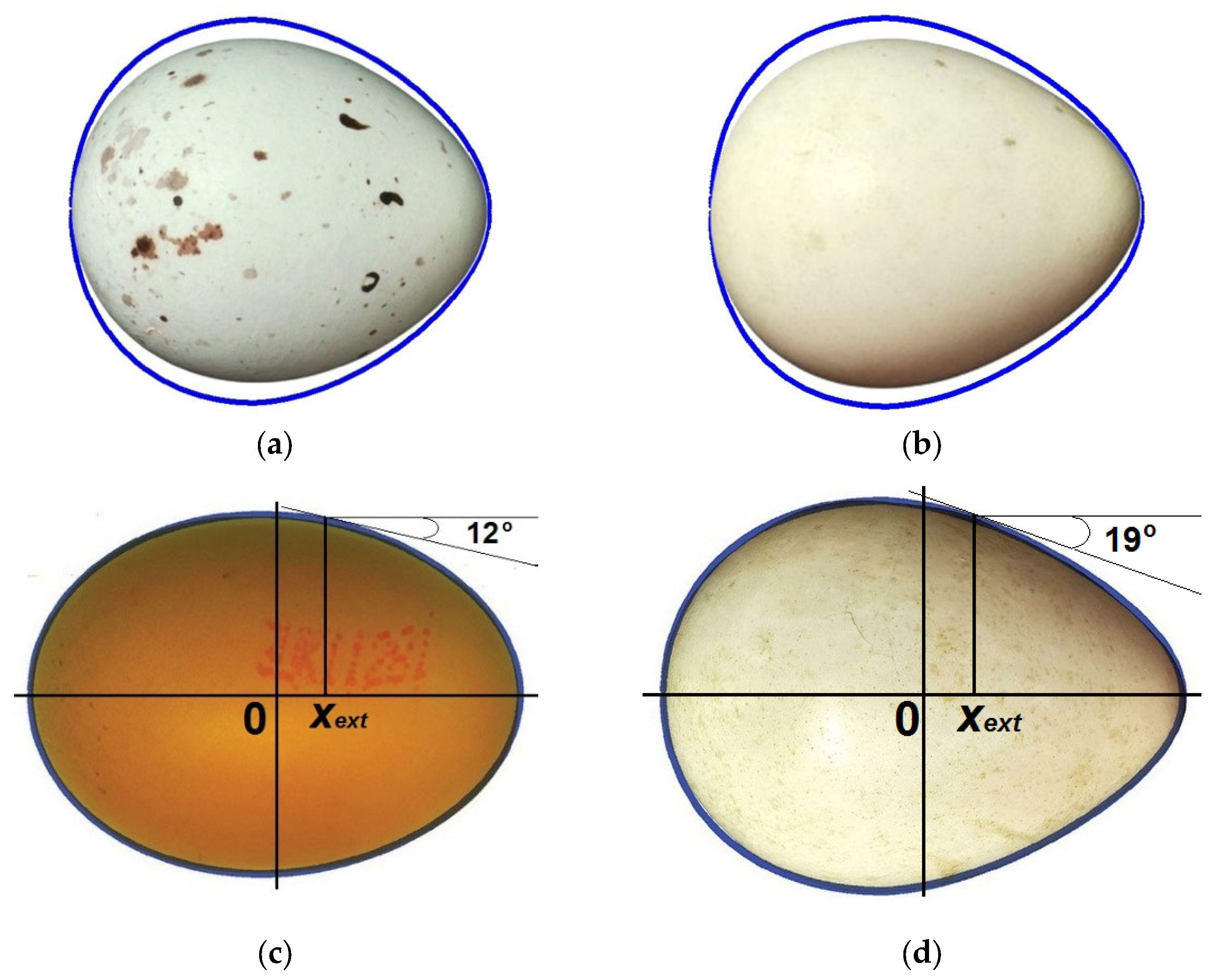 Computation 13 00232 g006