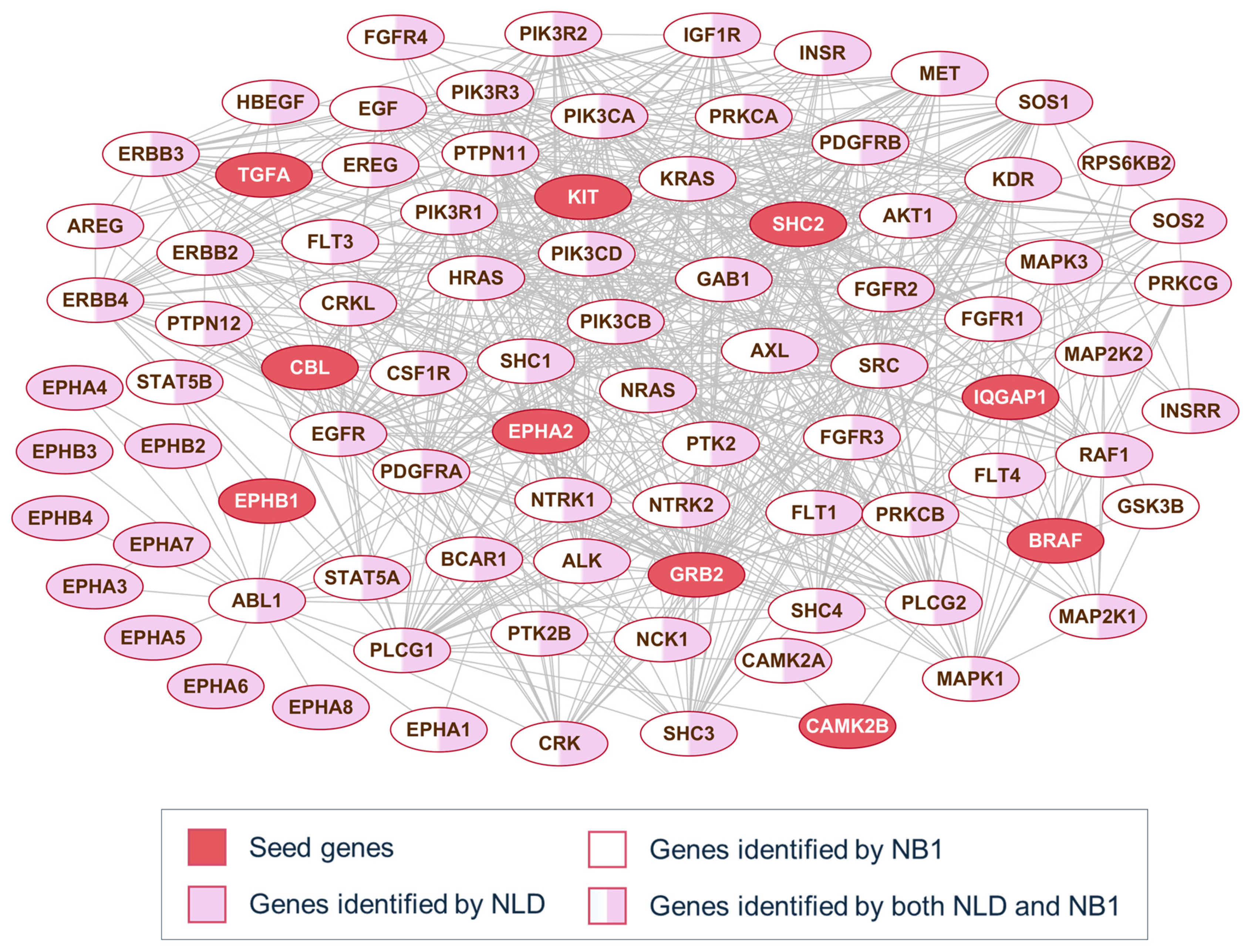 Computation 13 00266 g003