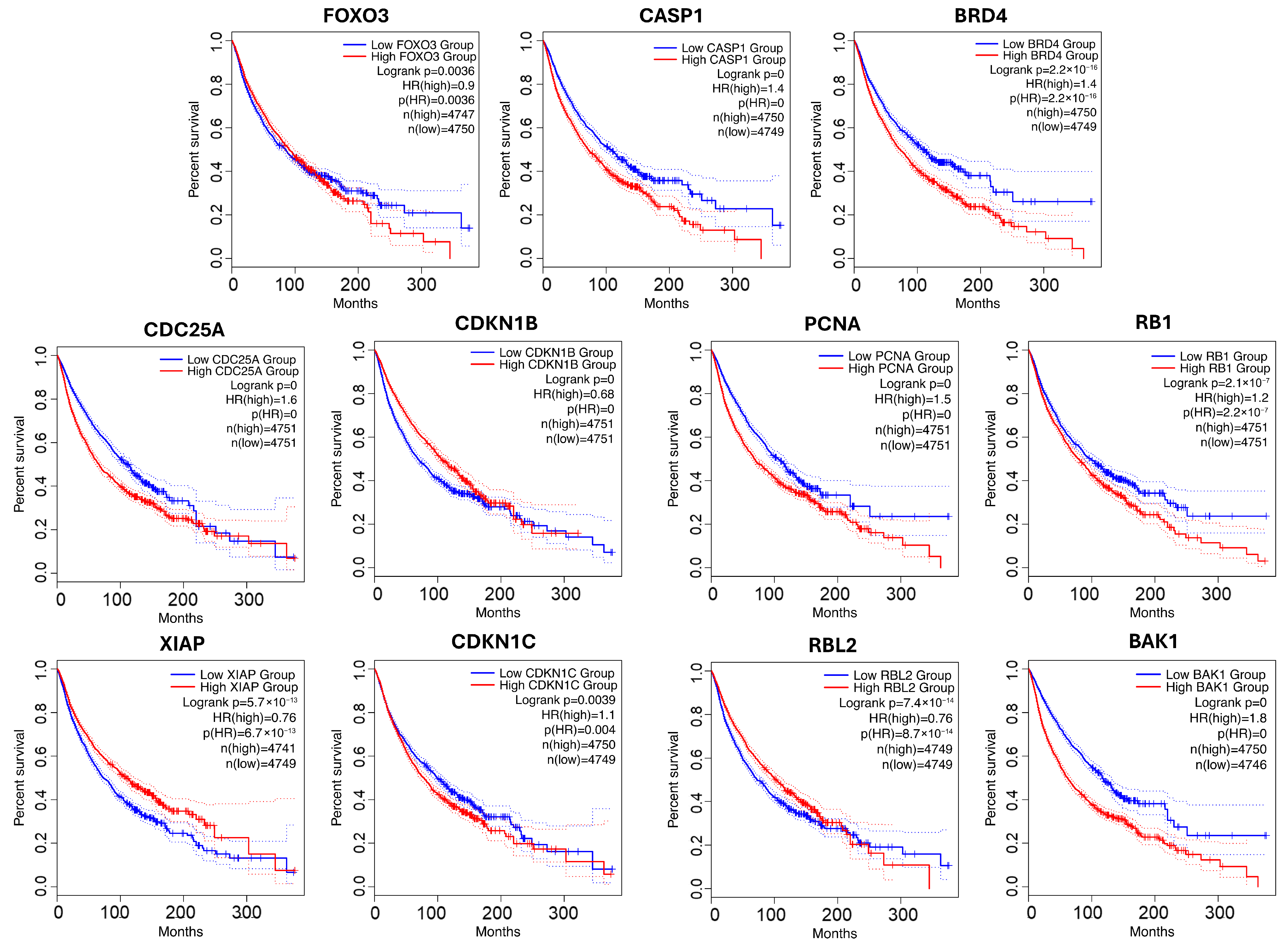 Computation 13 00266 g005