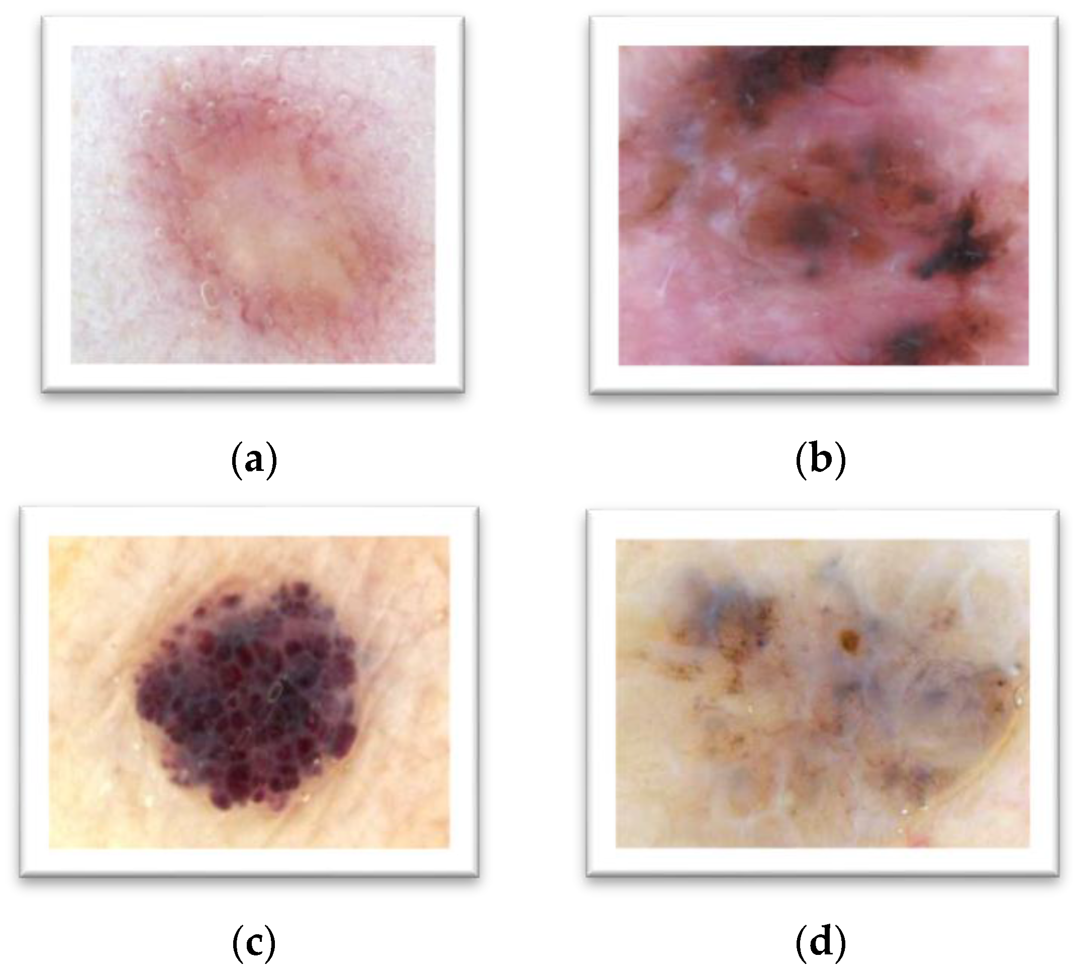 Computers 05 00013 g005