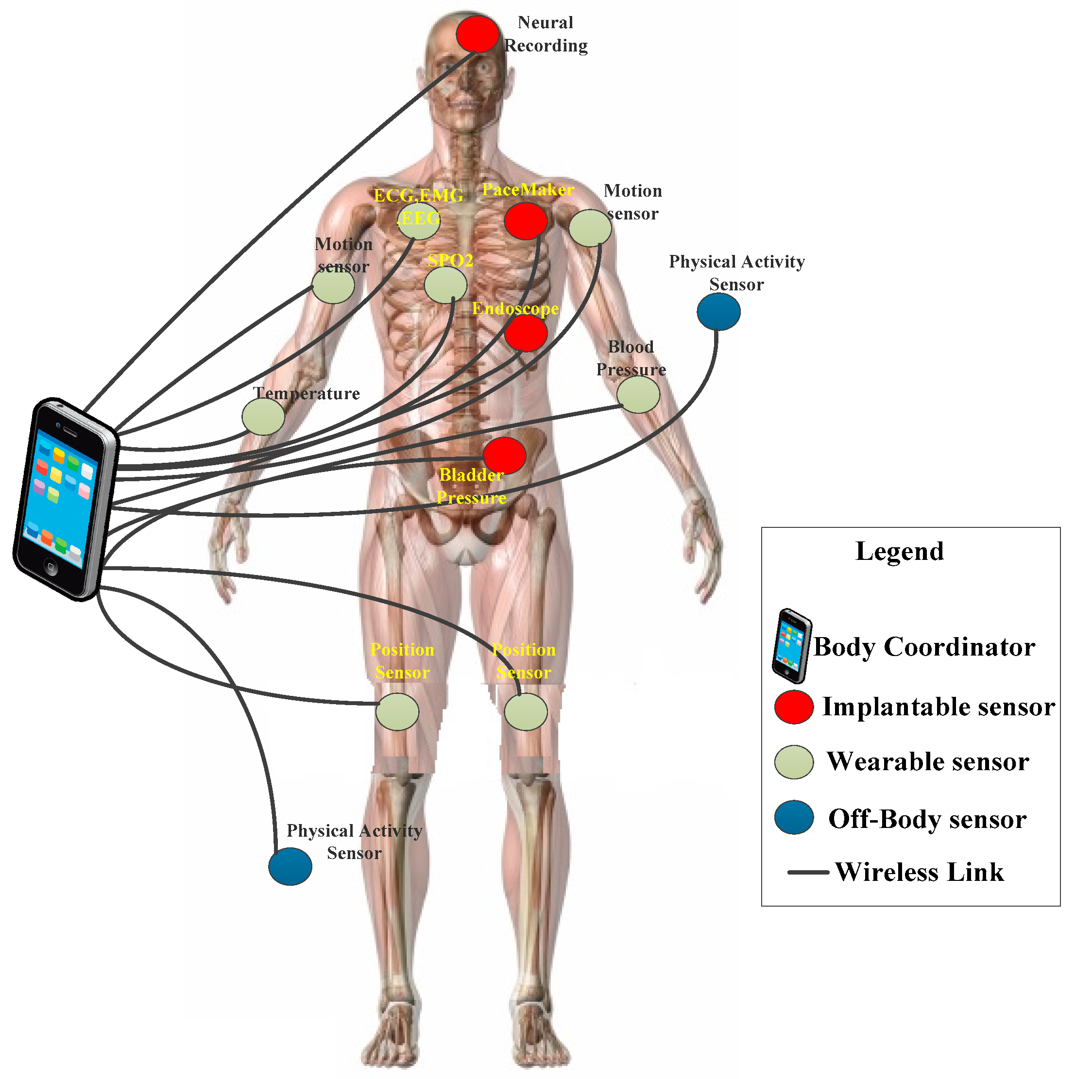 Computers 06 00009 g001