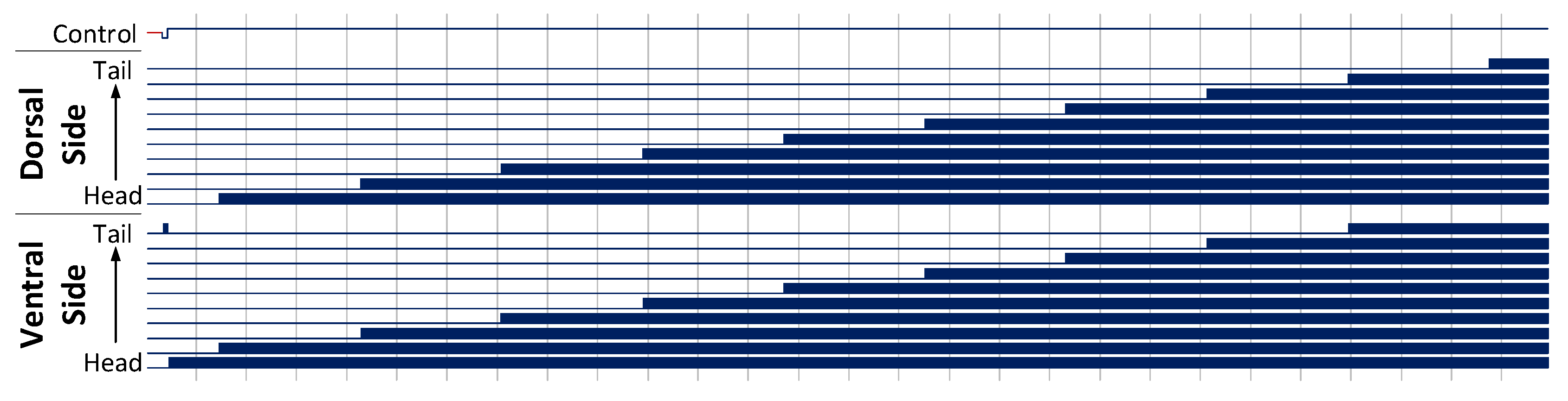 Computers 07 00043 g014