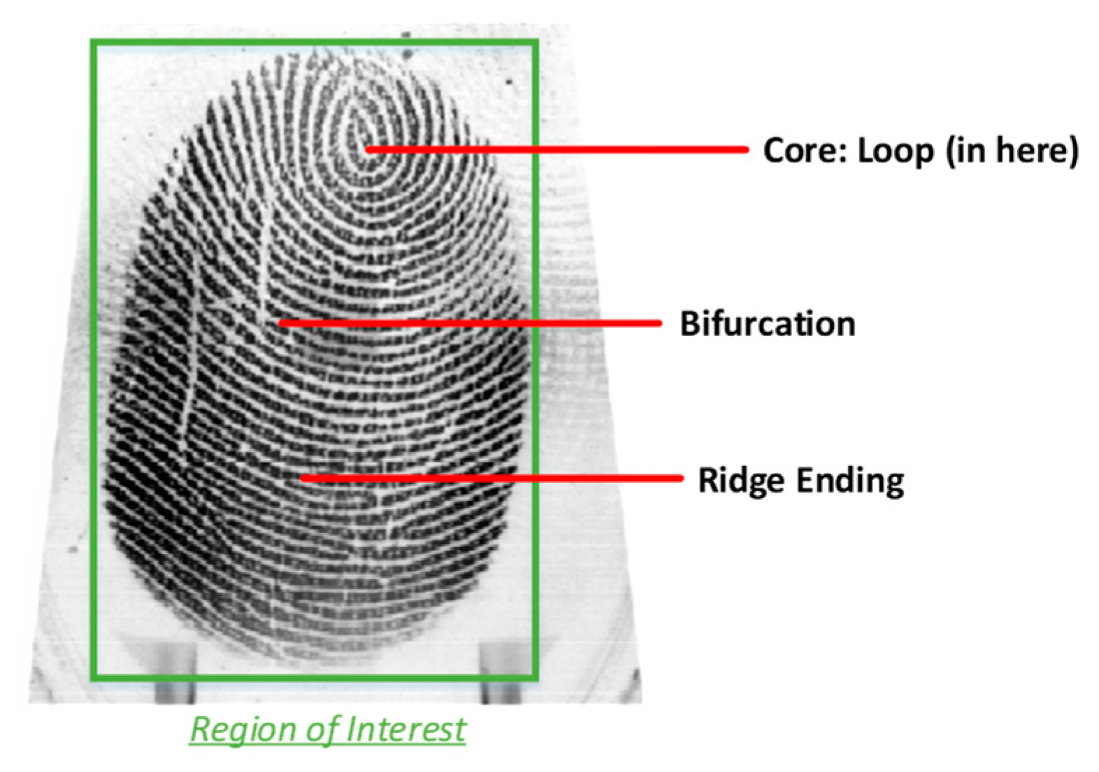 Computers 08 00003 g001