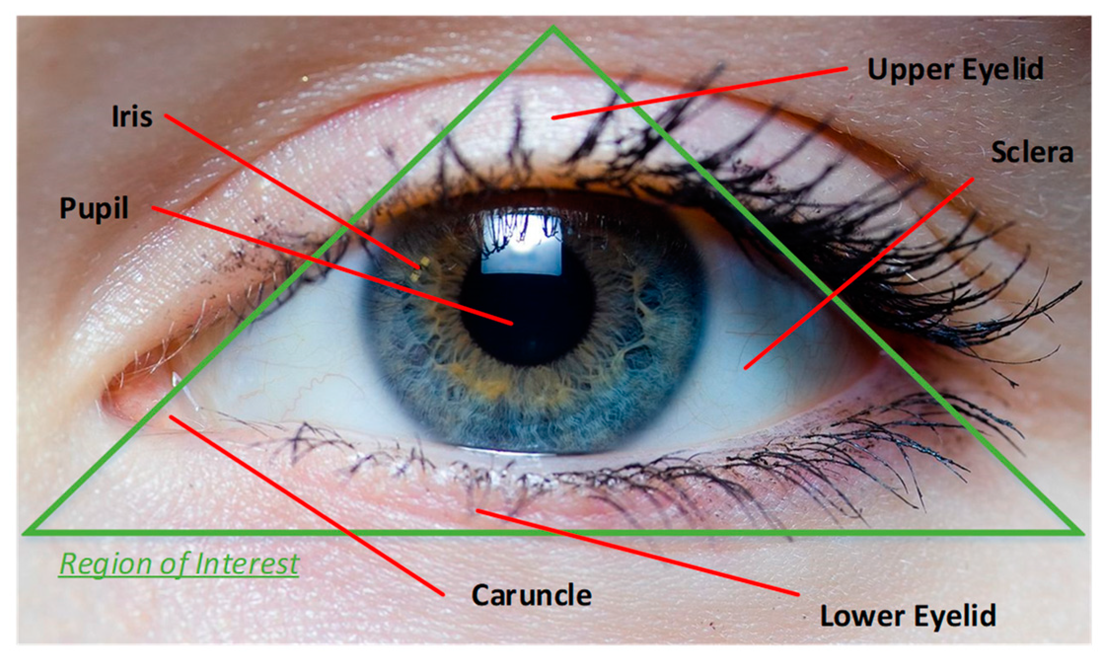 Computers 08 00003 g002