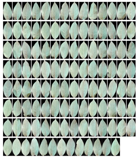 Computers 09 00006 g0a1