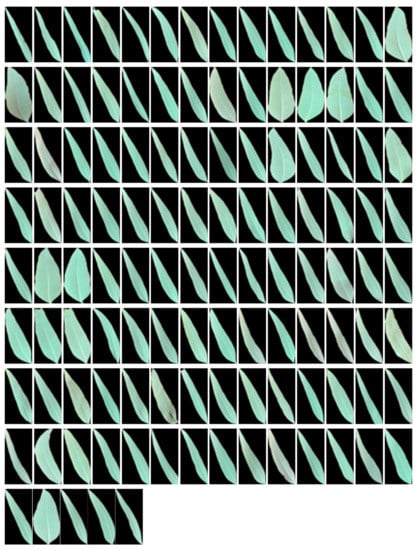 Computers 09 00006 g0a2