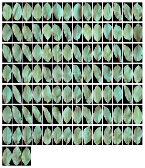 Computers 09 00006 g0a3