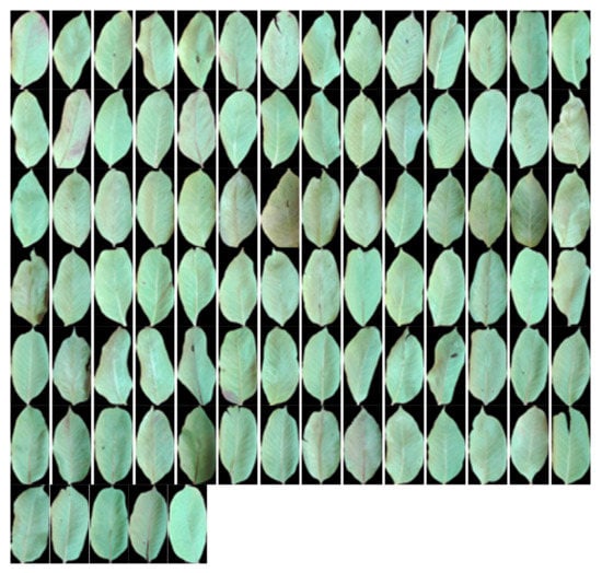 Computers 09 00006 g0a4