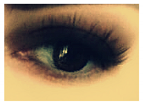 Computers 09 00038 i001 Computers 09 00038 i001