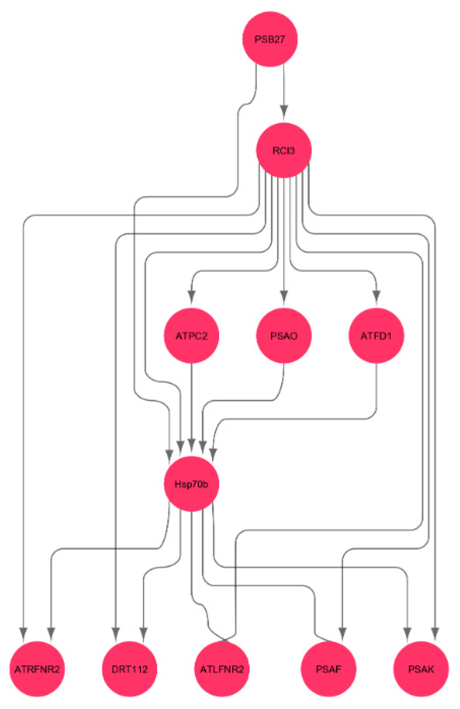 Computers 10 00018 g009