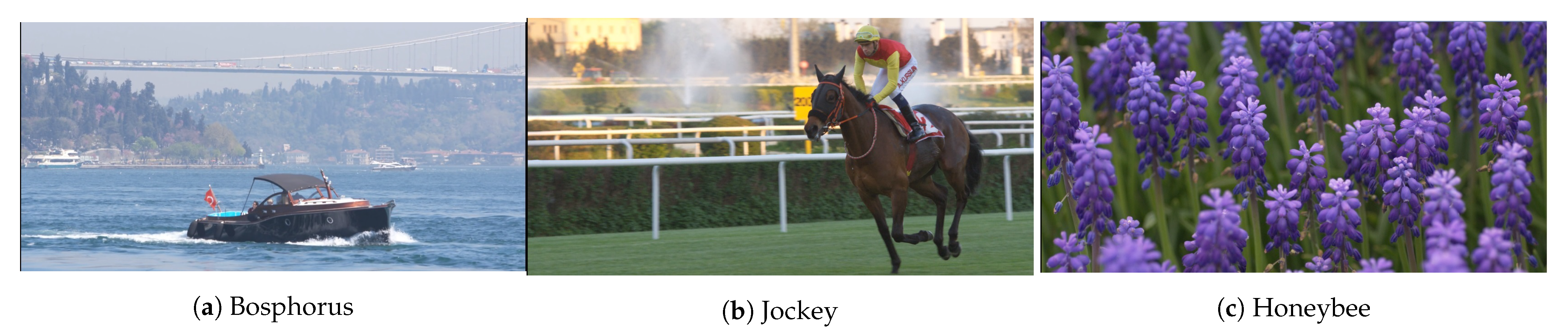 Computers 10 00039 g004 Computers 10 00039 g004