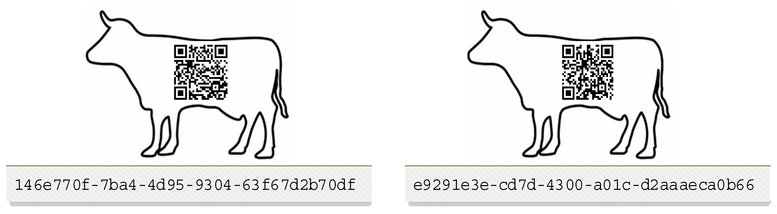 Computers 11 00079 g002