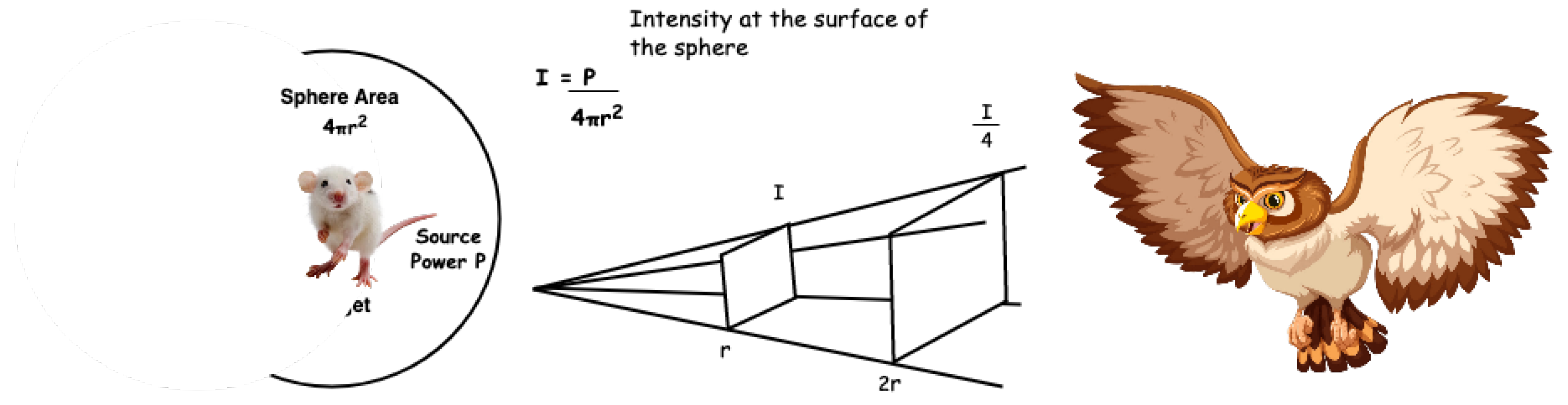 Computers 11 00173 g001