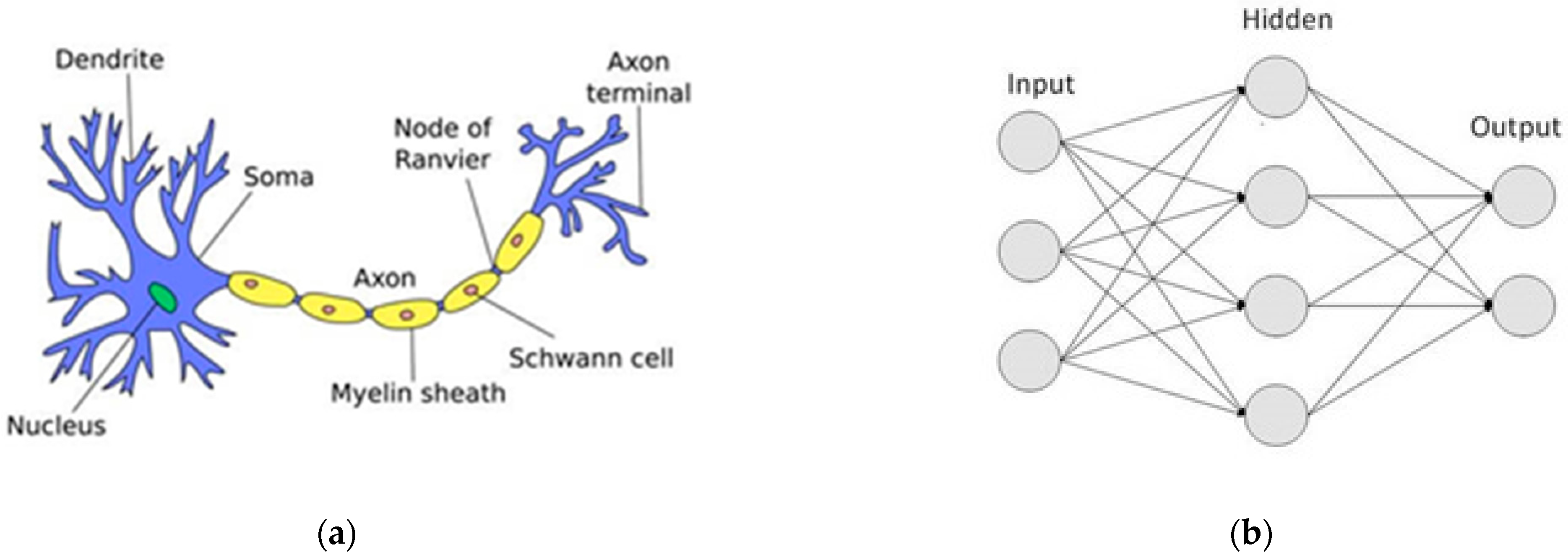 Computers 12 00004 g001