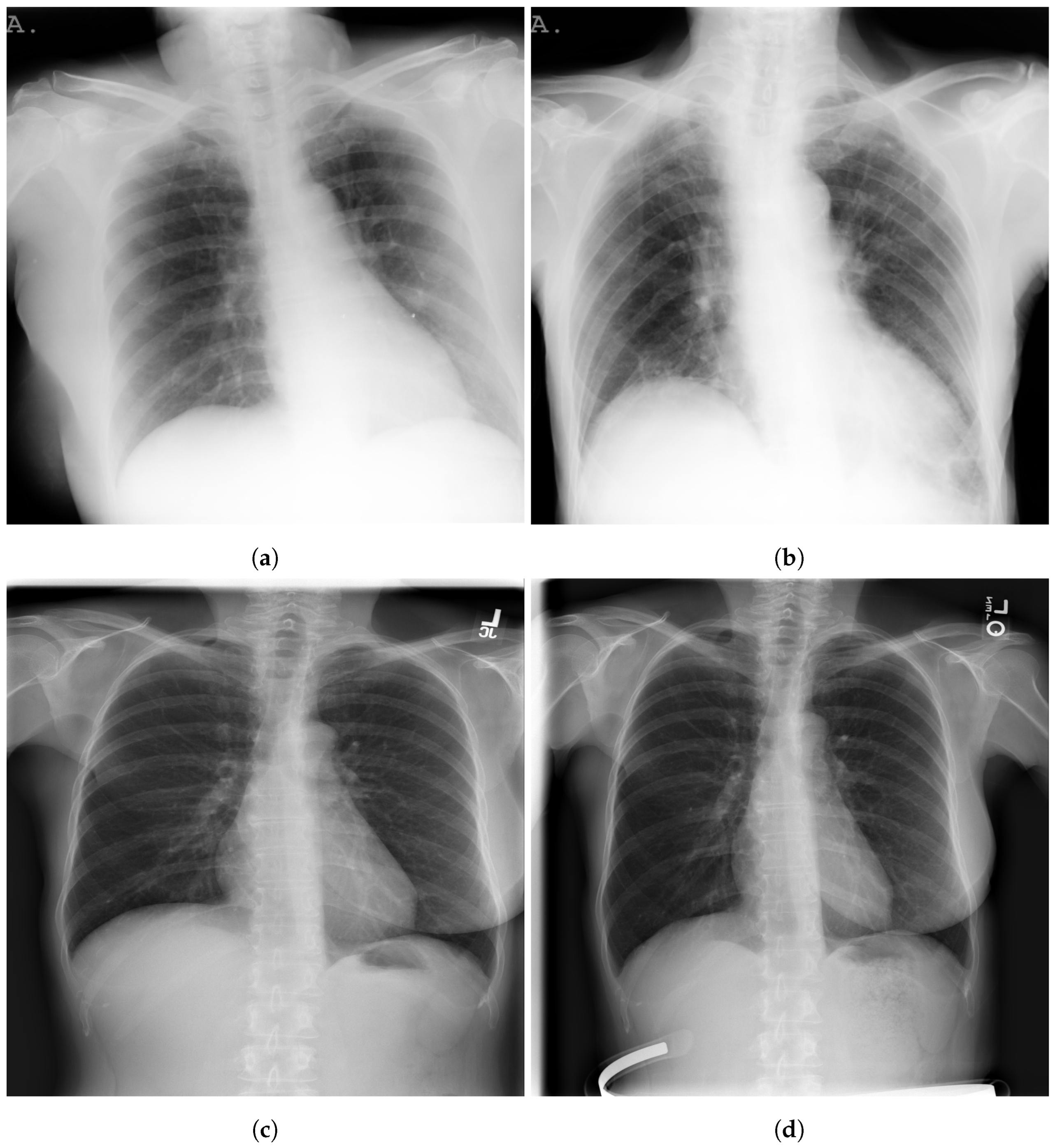 Computers 12 00106 g003