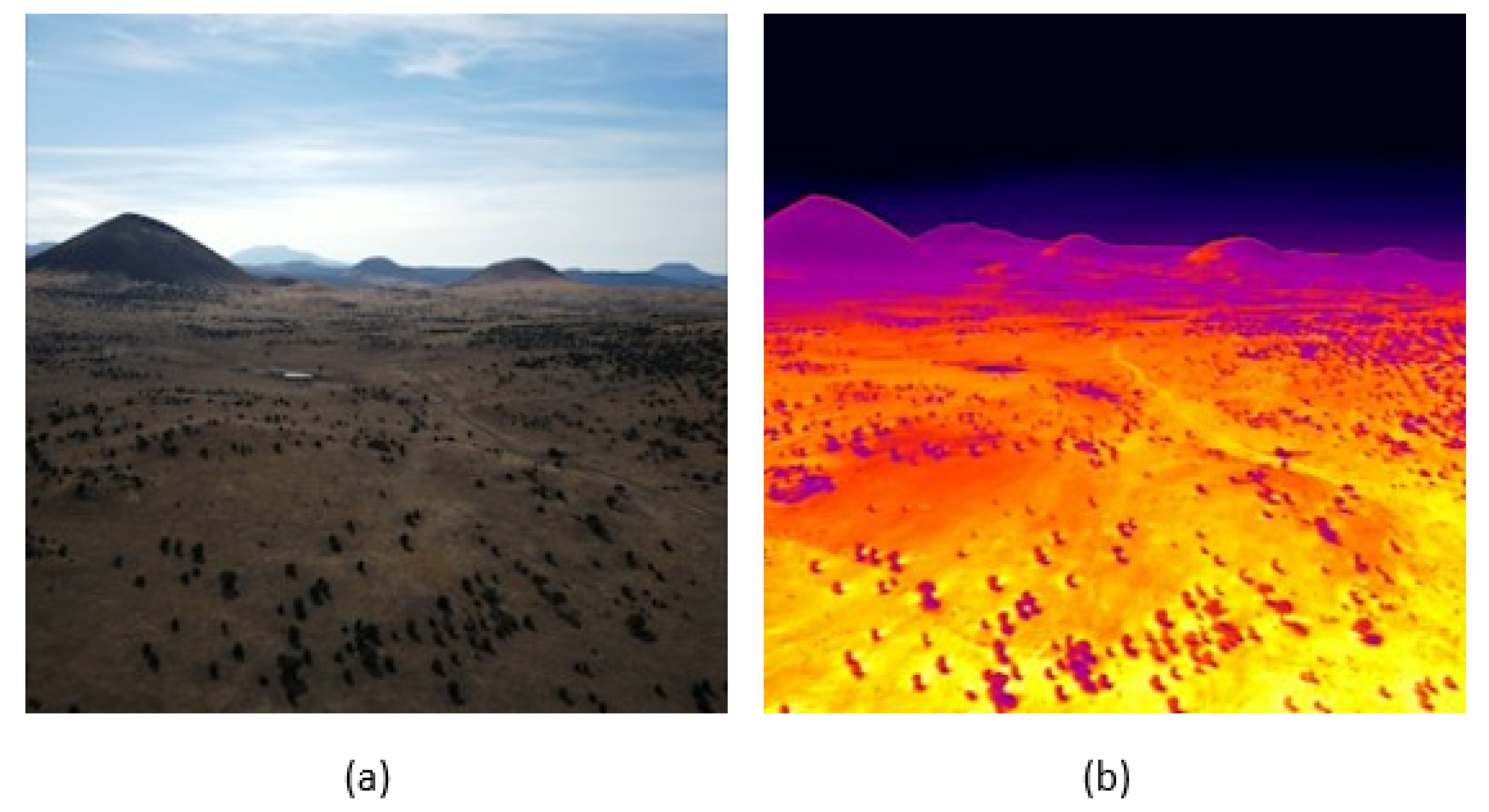 Computers 13 00036 g003