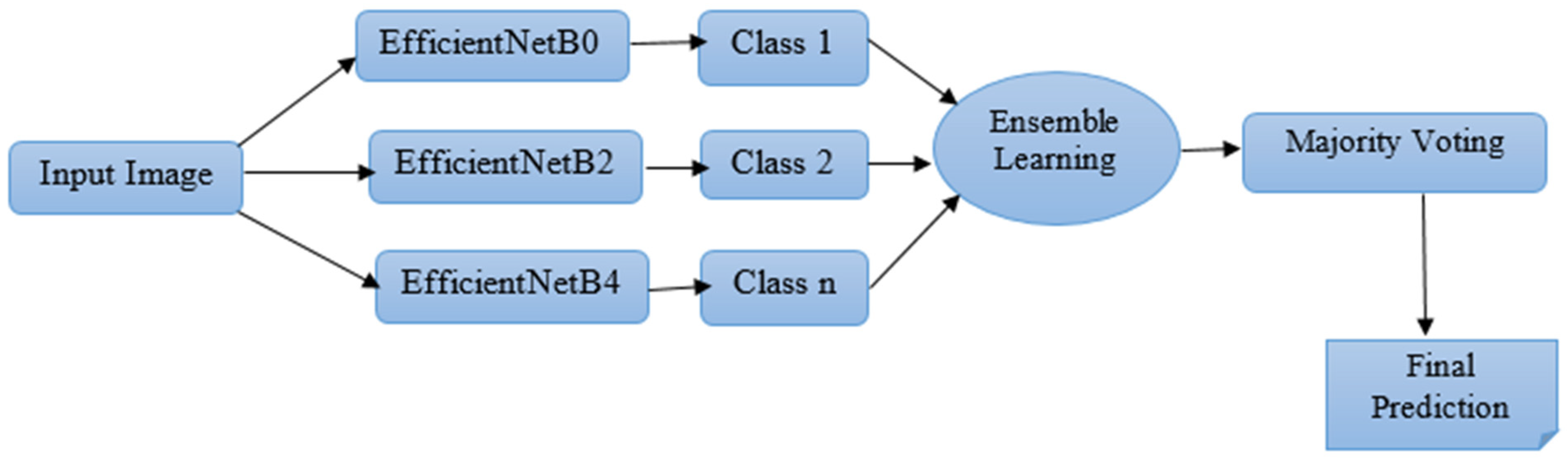 Computers 13 00038 g001