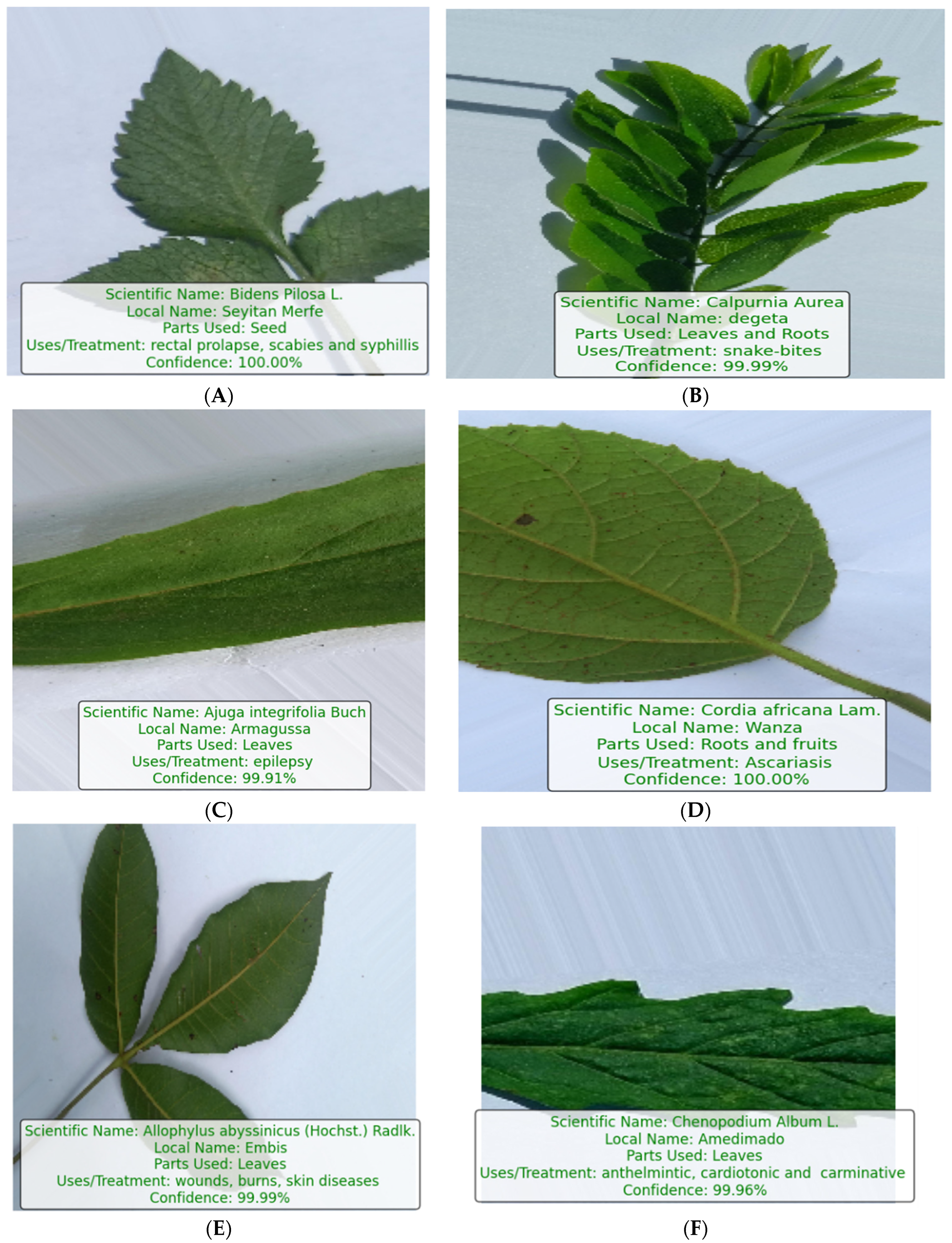 Computers 13 00038 g004