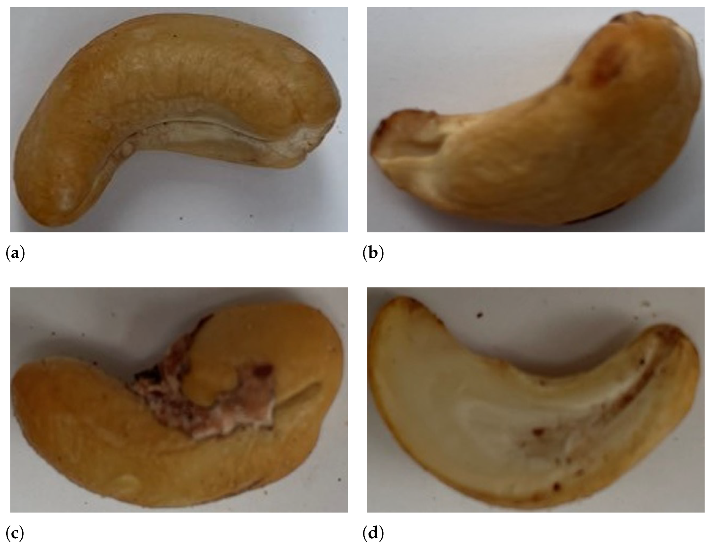 Computers 13 00071 g005