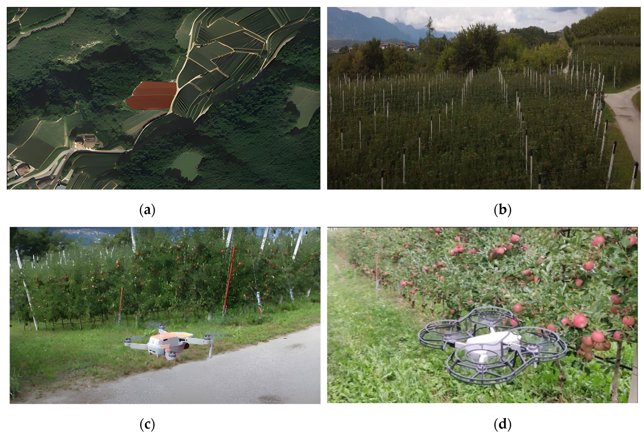 Computers 13 00083 g002