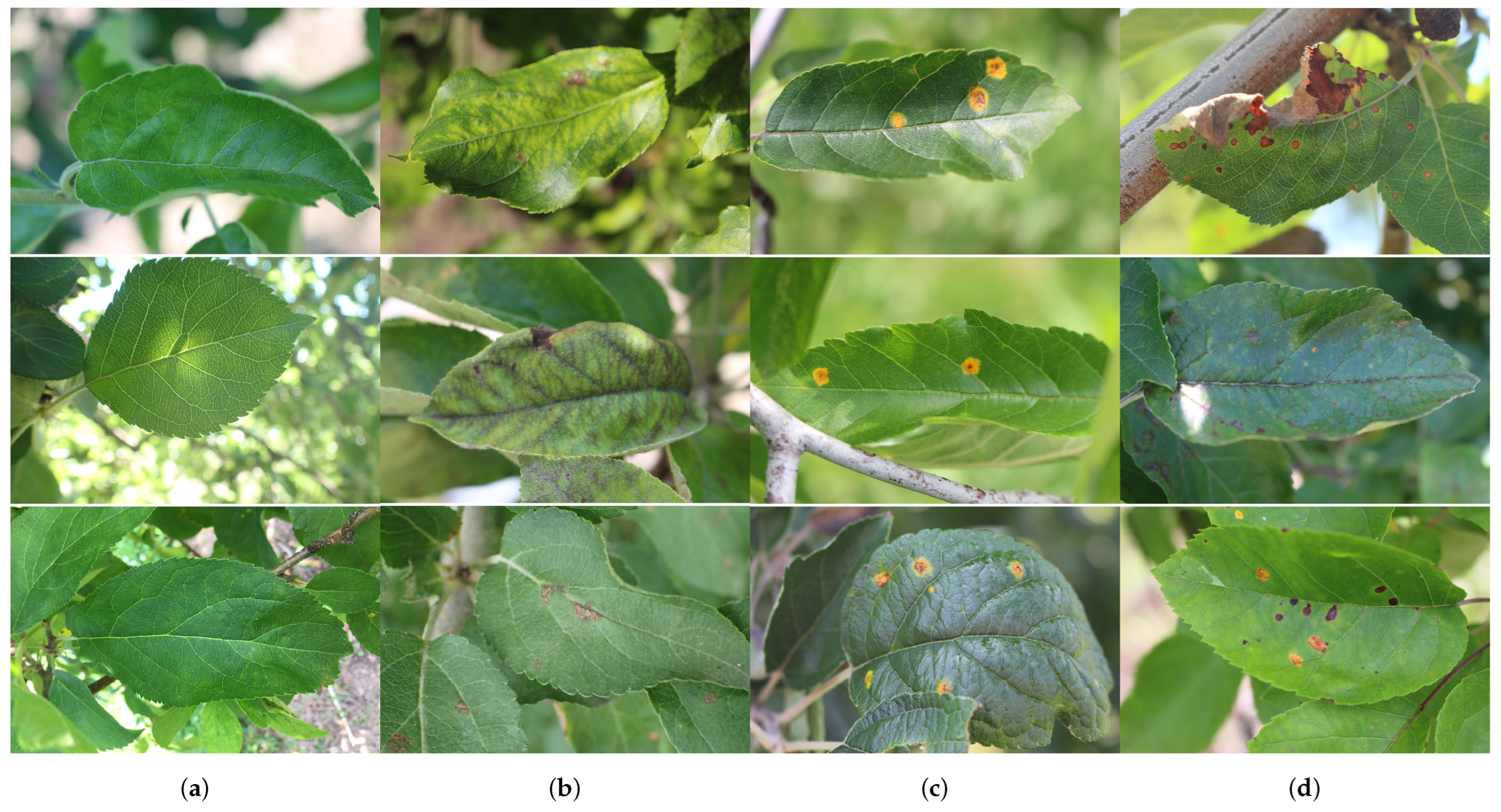 Computers 13 00116 g001