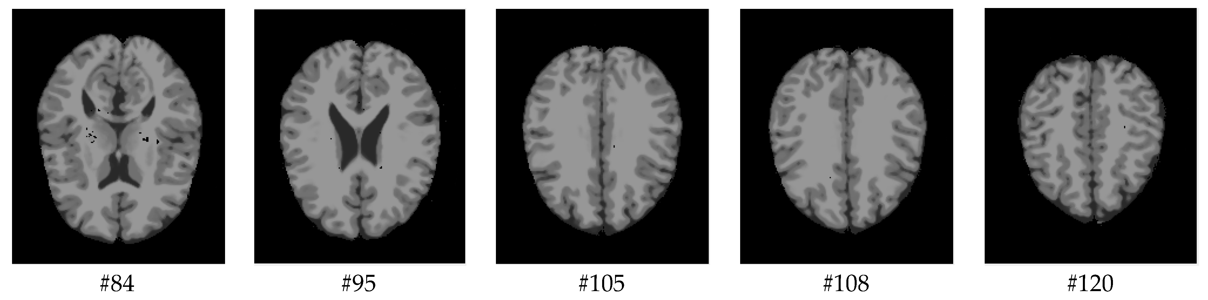 Computers 13 00124 g001