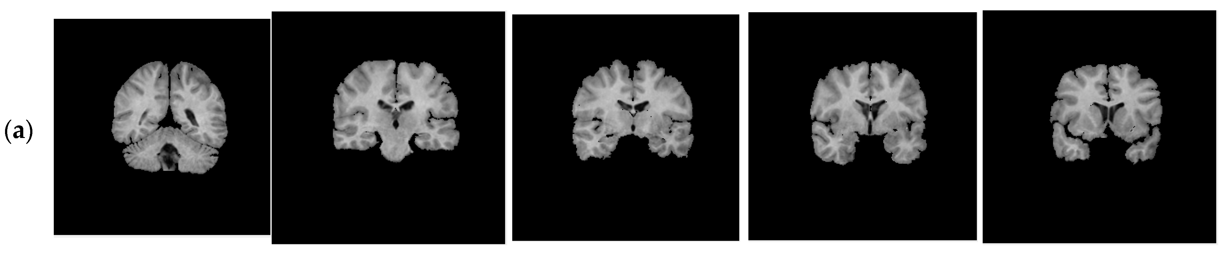 Computers 13 00124 g018a