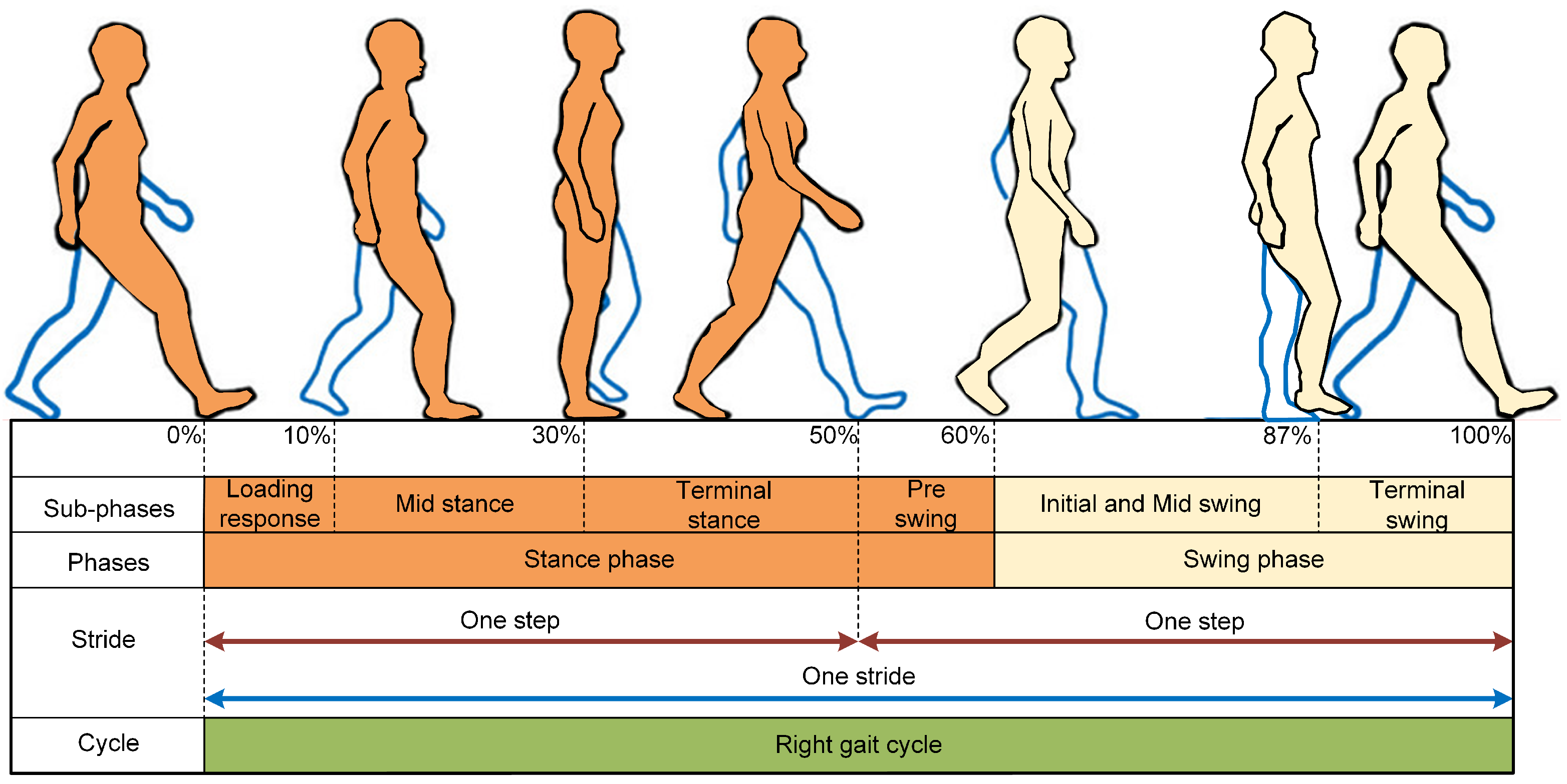 Computers 13 00159 g002