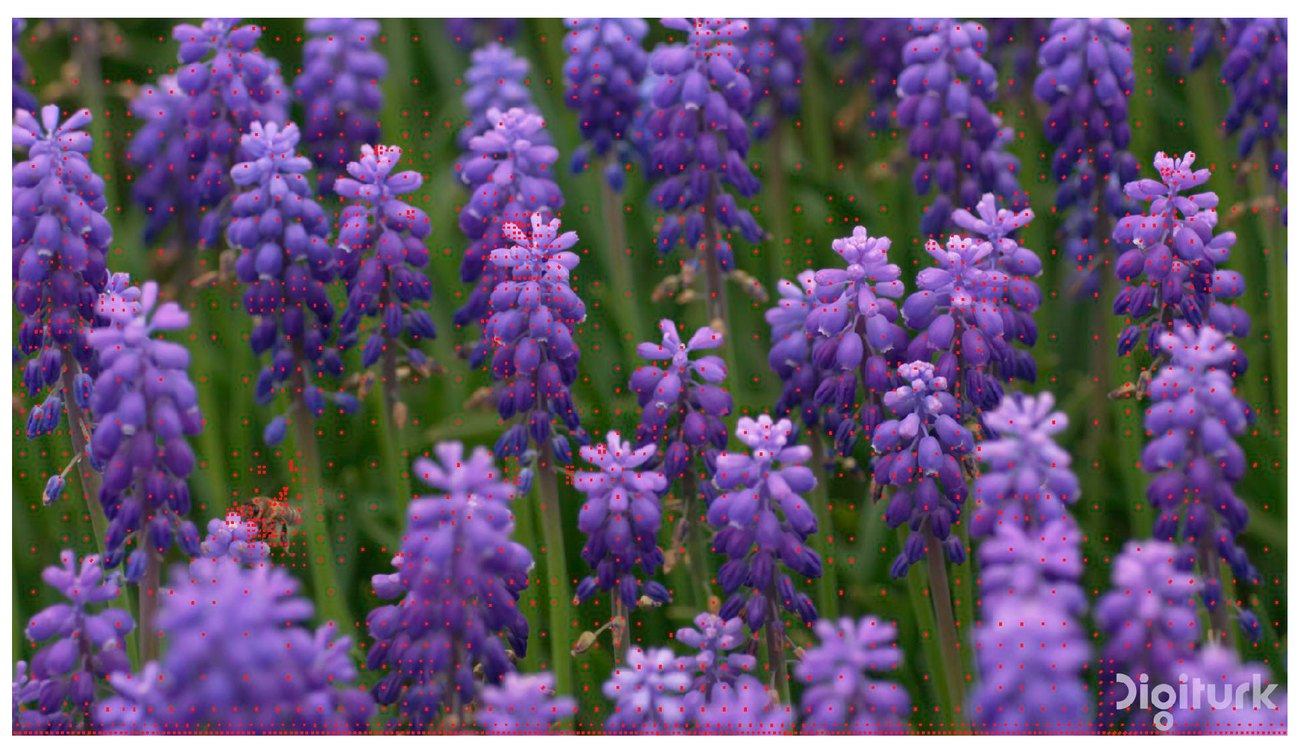 Computers 13 00204 g009