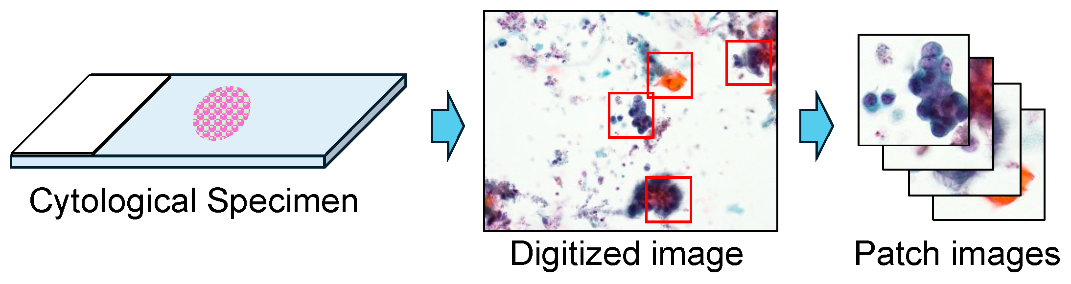 Computers 13 00303 g002