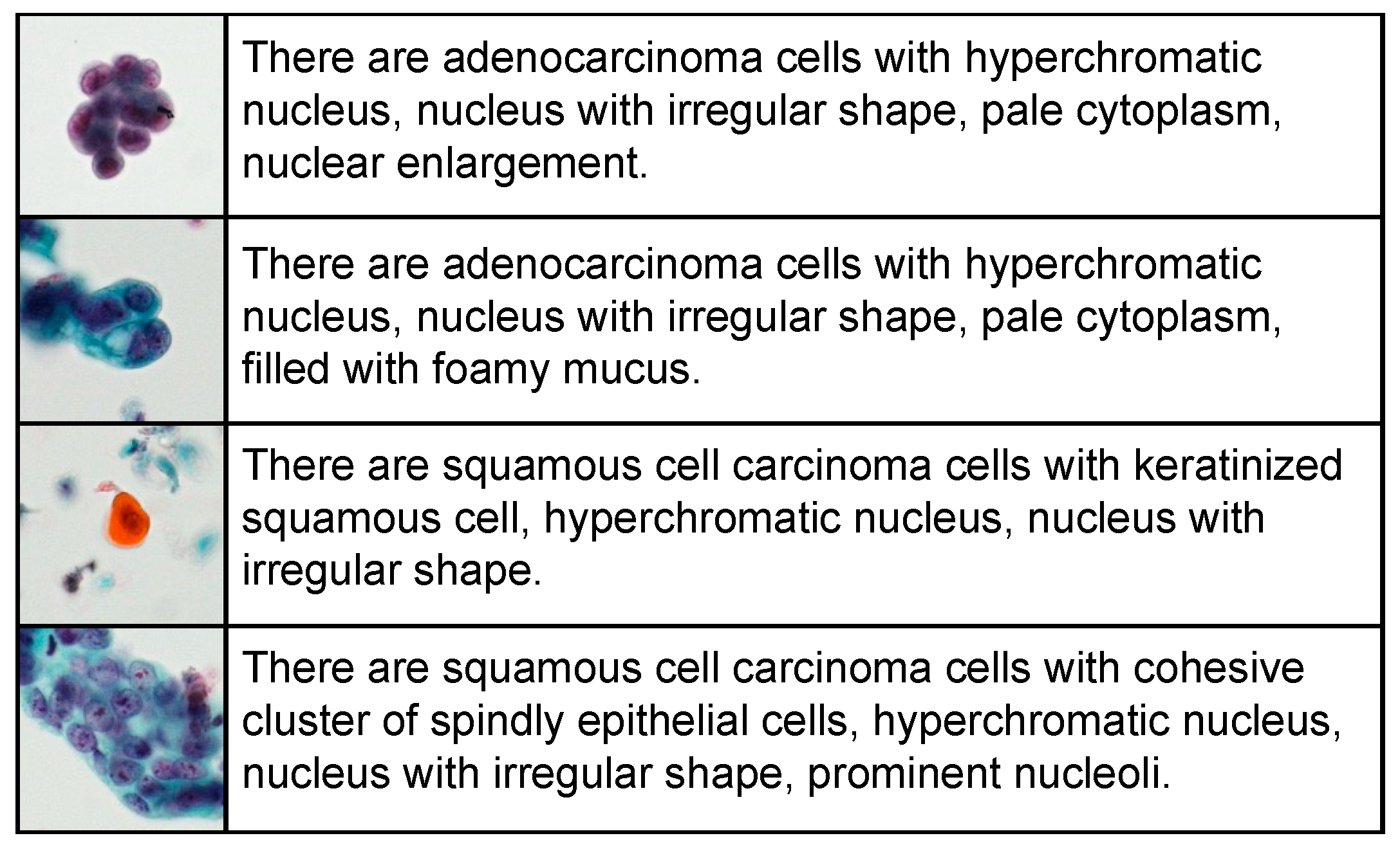 Computers 13 00303 g003