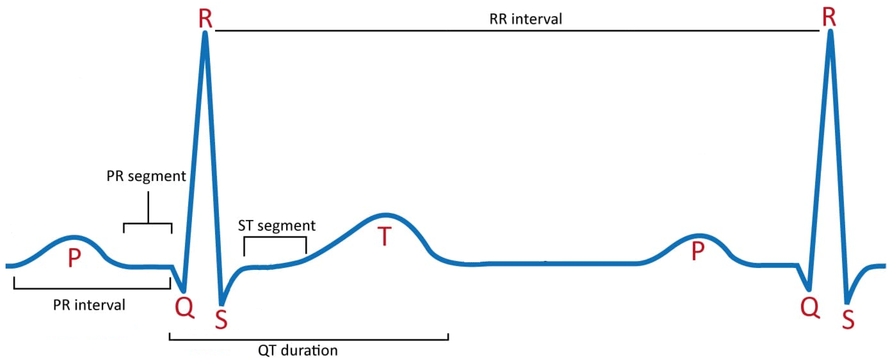 Computers 13 00316 g001