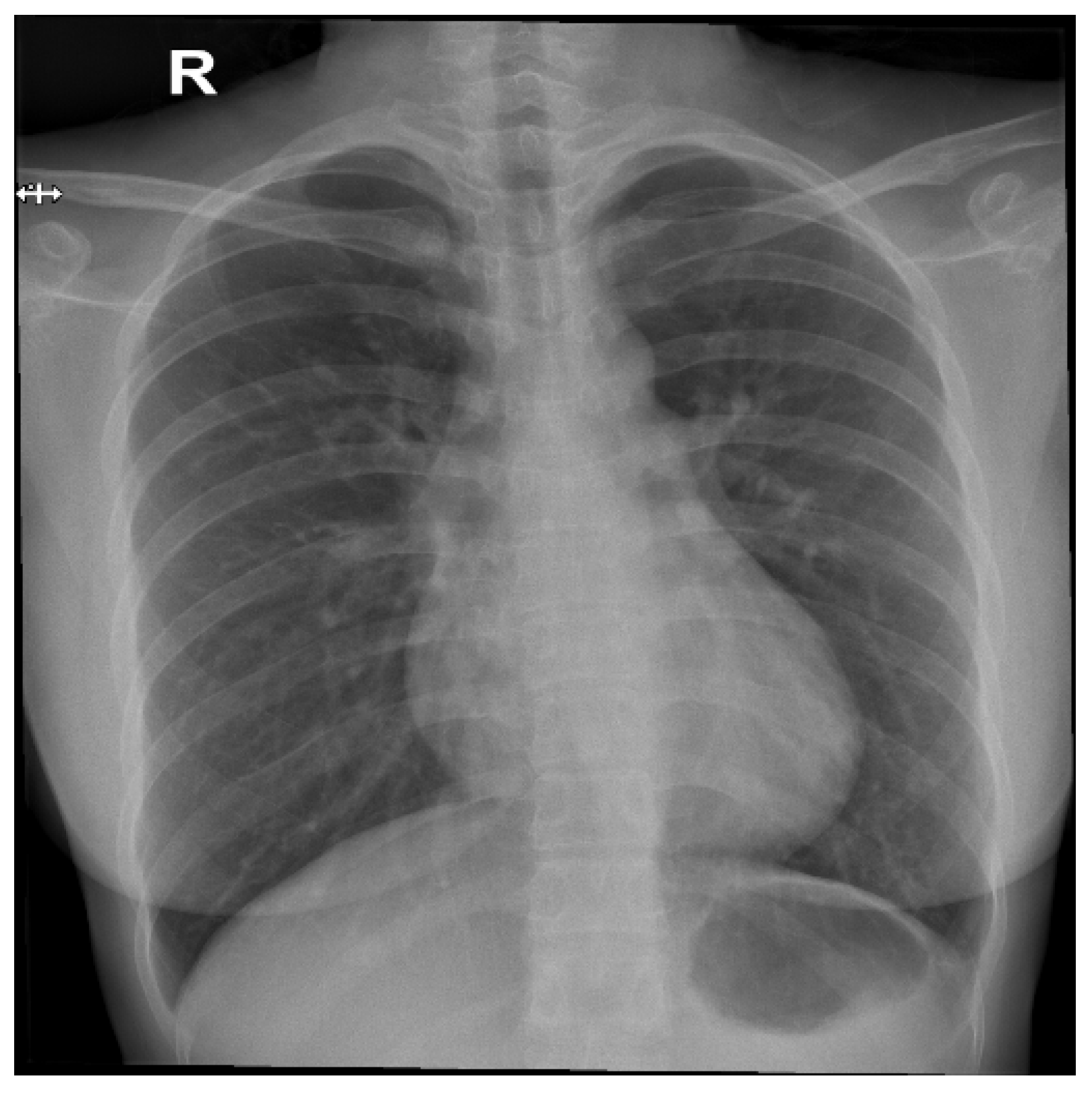 Computers 13 00343 g001