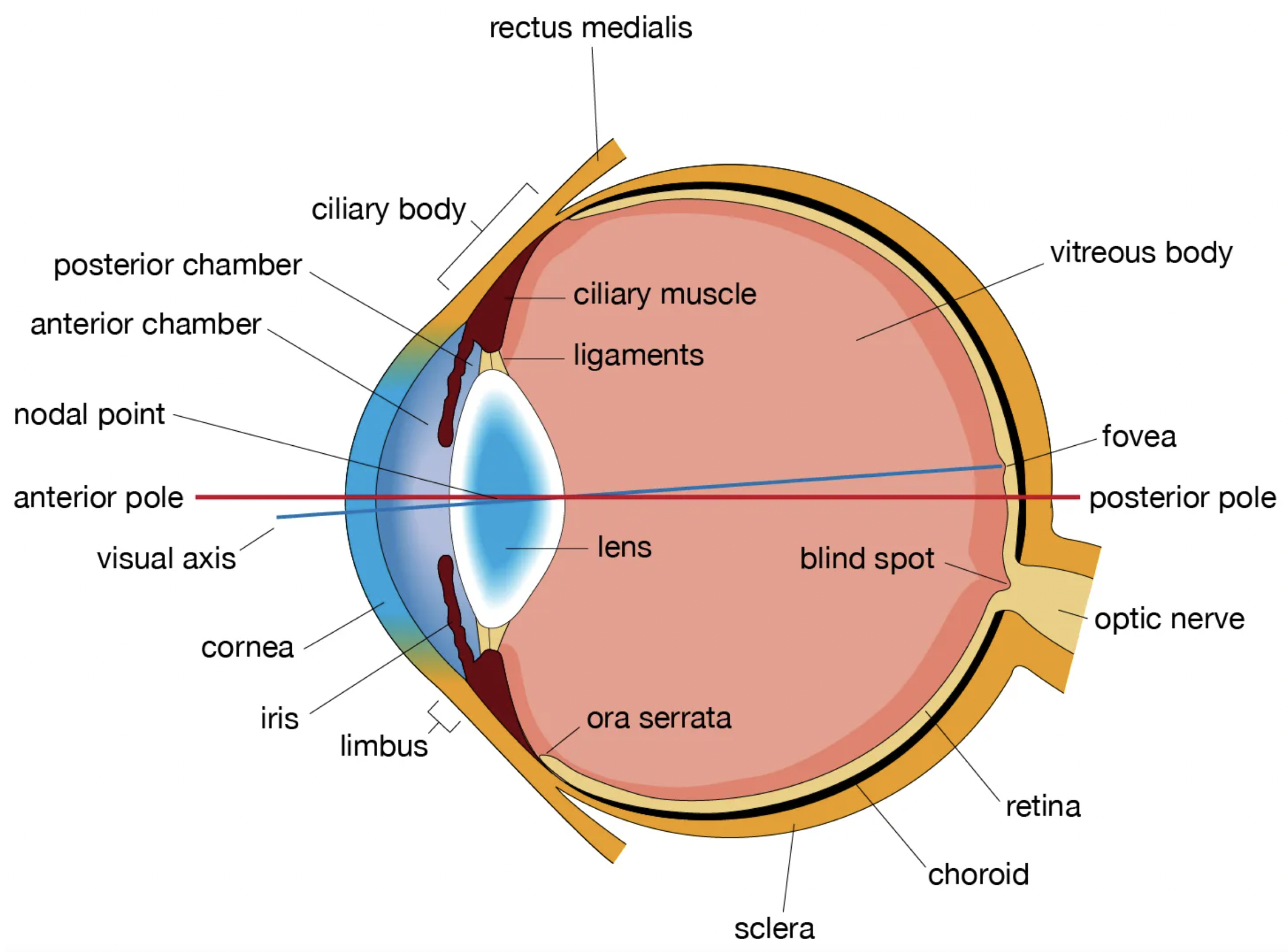 Computers 14 00057 g007